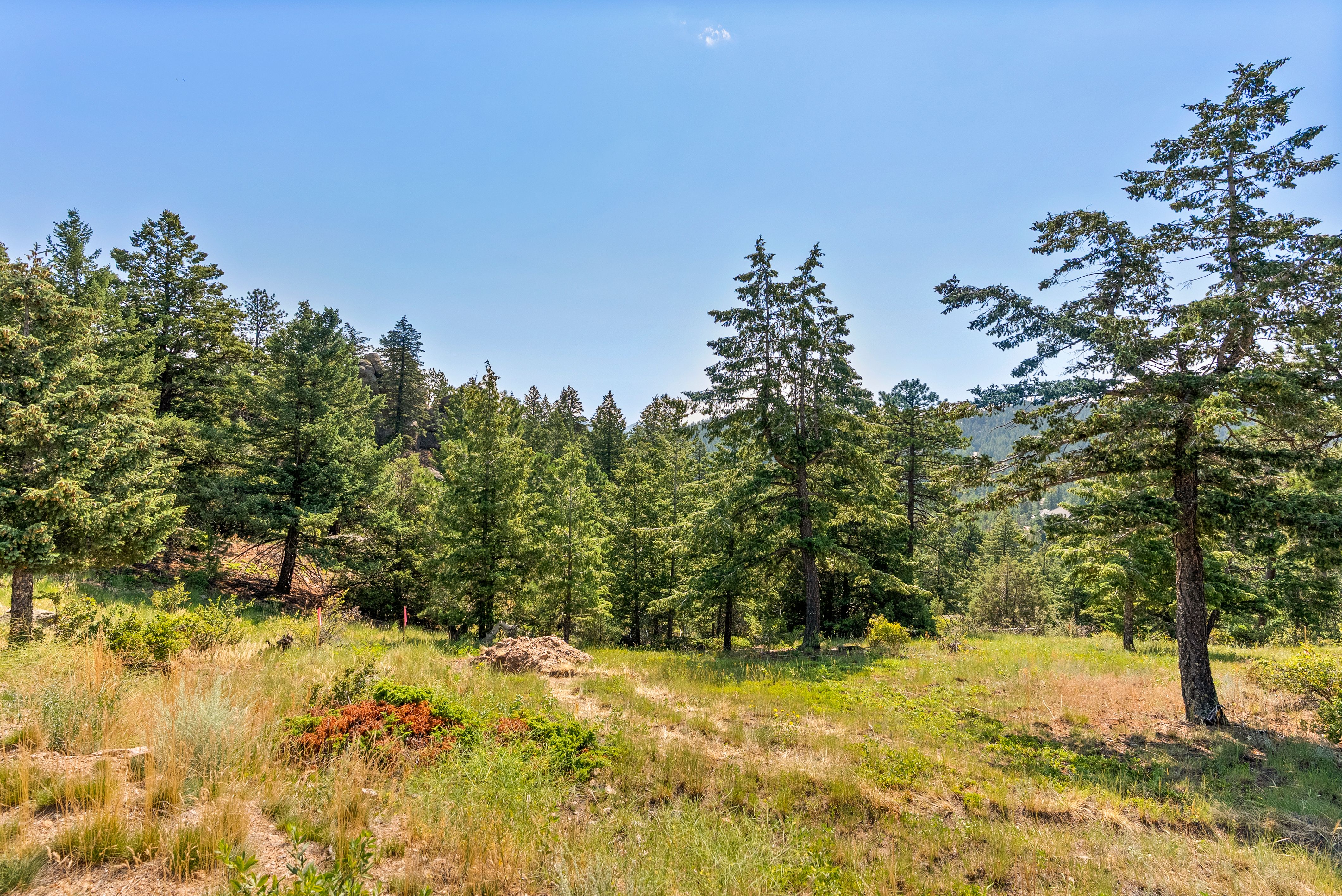  Acreage Available in Evergreen