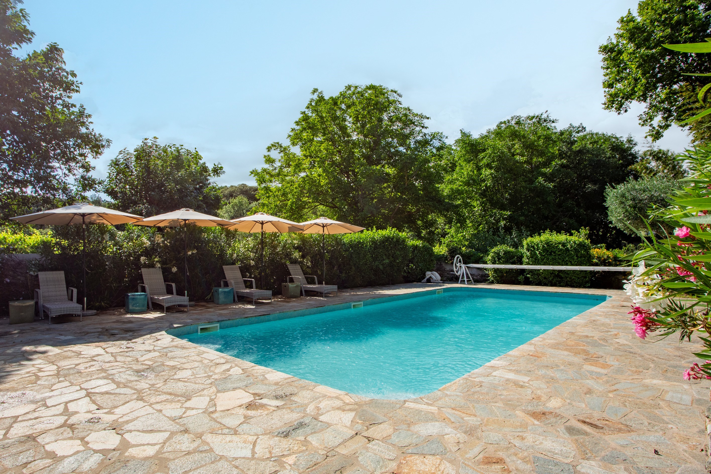  Exceptional Estate Featuring Two Elegant Homes in Faugères - 物件實景