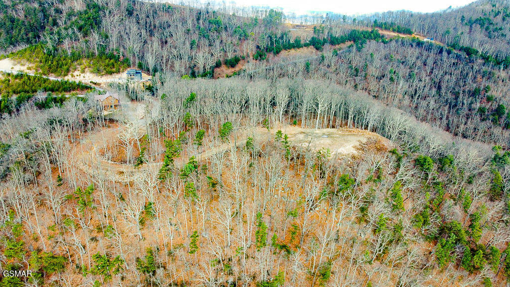 Sevierville, Tennessee, 37876, United States, ,Land,For Sale,2008093