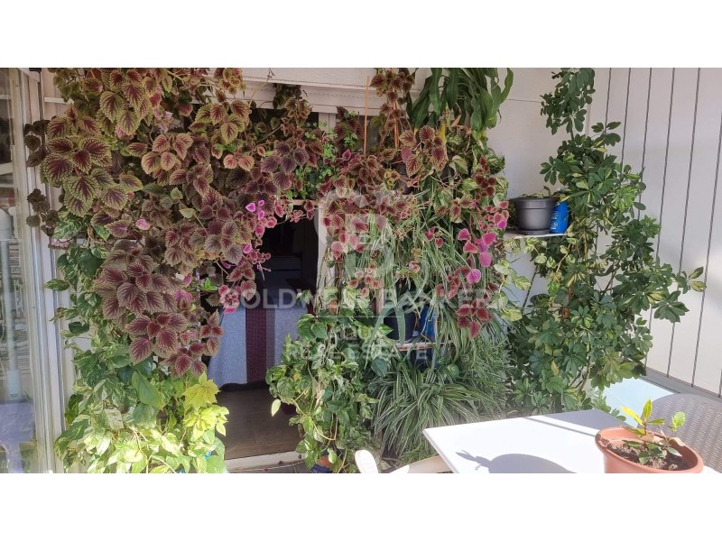 Alicante, Villajoyosa / la Vila Joiosa, Centro Urb, Villajoyosa / la Vila Joiosa, Comunidad Valenciana, 03570, ES, 3 Bedrooms Bedrooms, ,2 BathroomsBathrooms,Residential,For Sale,Alicante, Villajoyosa / la Vila Joiosa, Centro Urb,1616026