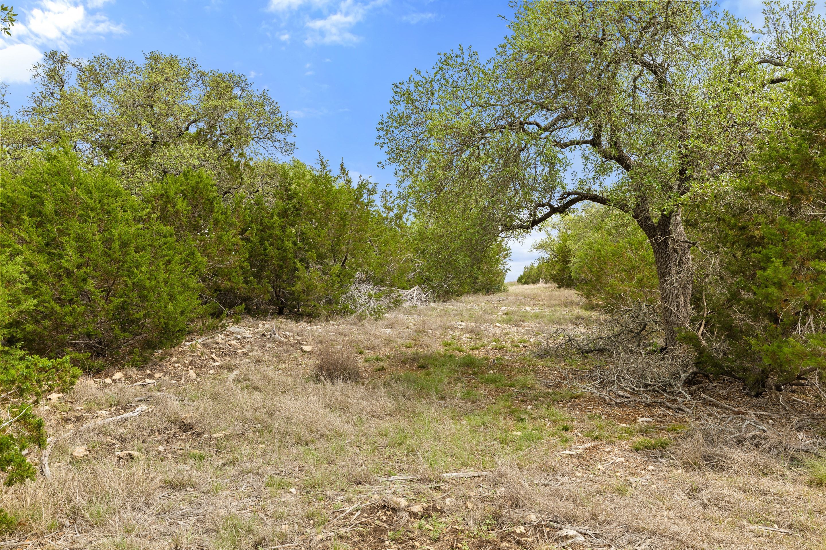  83 S Flat Rock Way - 5 Acre Lot in Gated Legacy Hills - 物件實景