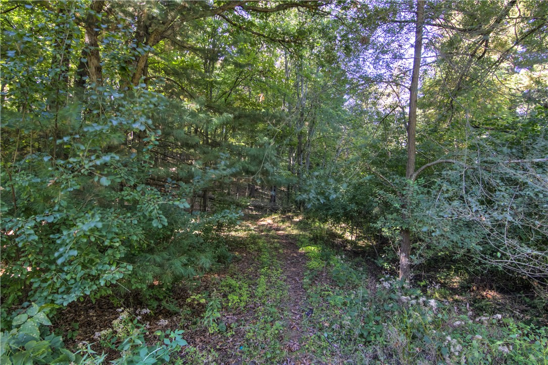 Eau Claire, Wisconsin, 54703, United States, 4 Bedrooms Bedrooms, ,3 BathroomsBathrooms,Residential,For Sale,1992439