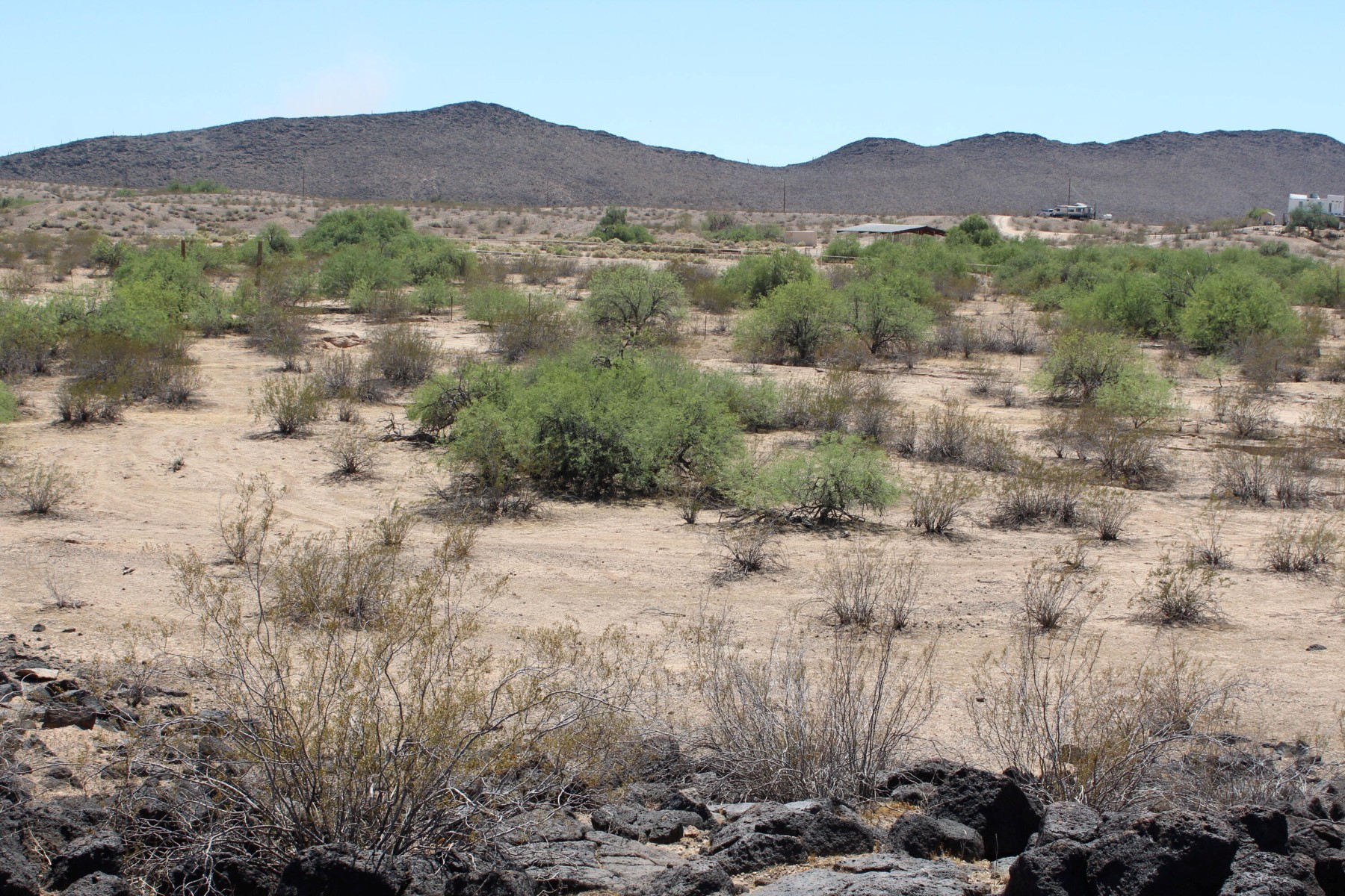  11 S 337th Avenue, Arlington, AZ, 85322 - 物件實景