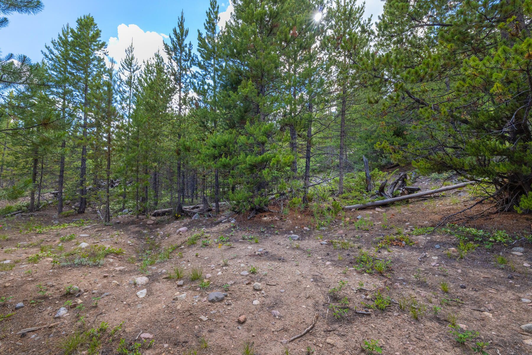  517 Giberson Lane, Frisco, CO, 80443 - 物件實景