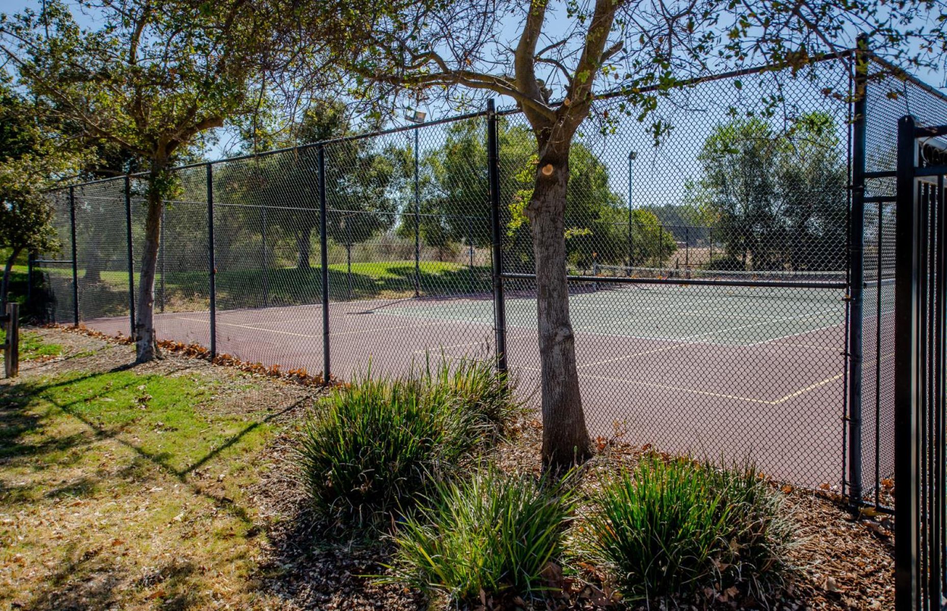  33203 Pintail Street, Woodland, CA 95695 - 物件實景