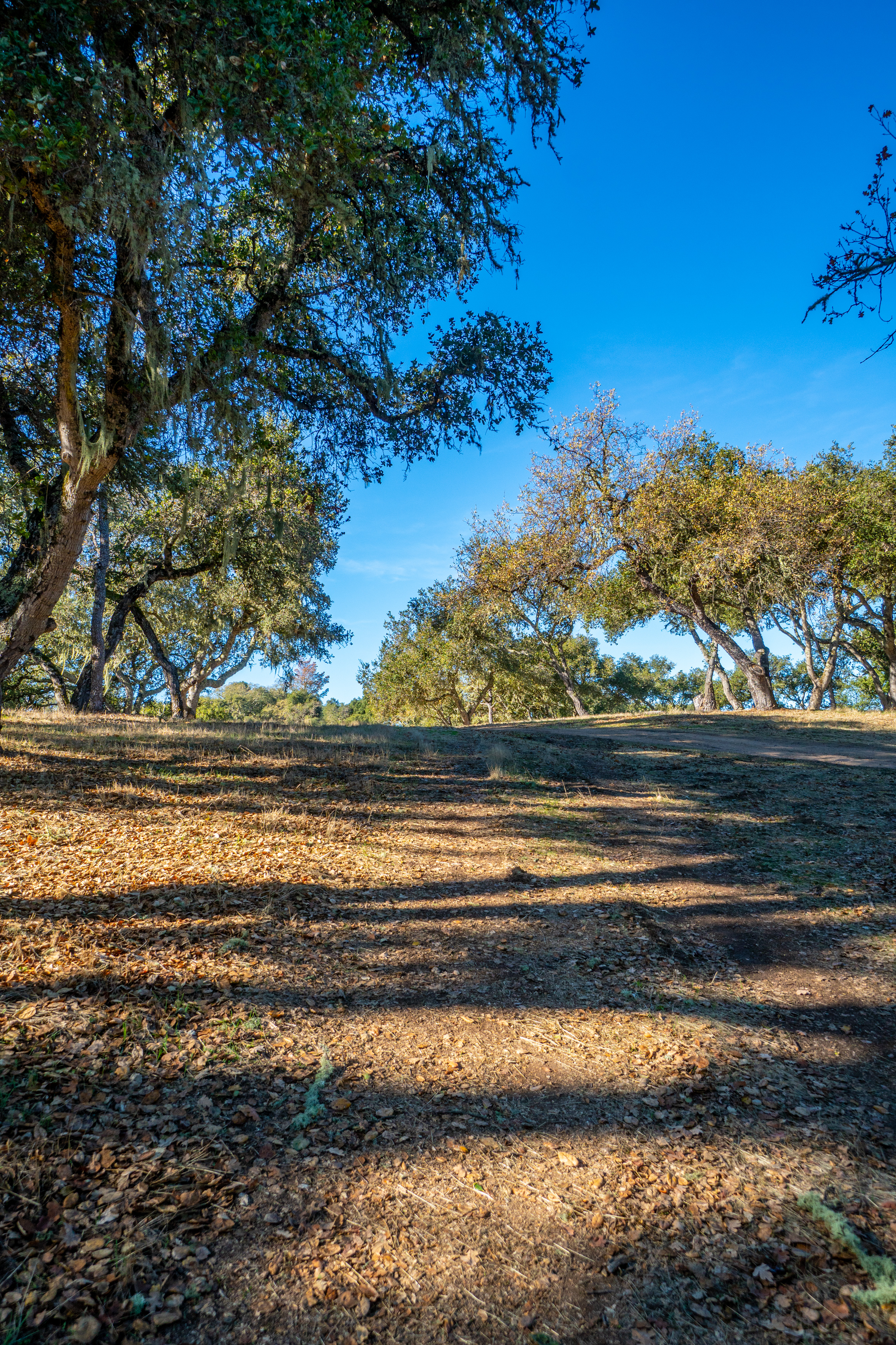  17114 Cachagua Road - 物件實景