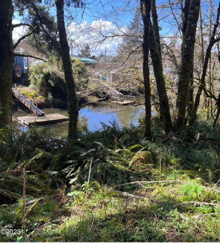 Pacific City, Oregon, 97135, United States, ,Land,For Sale,1977303