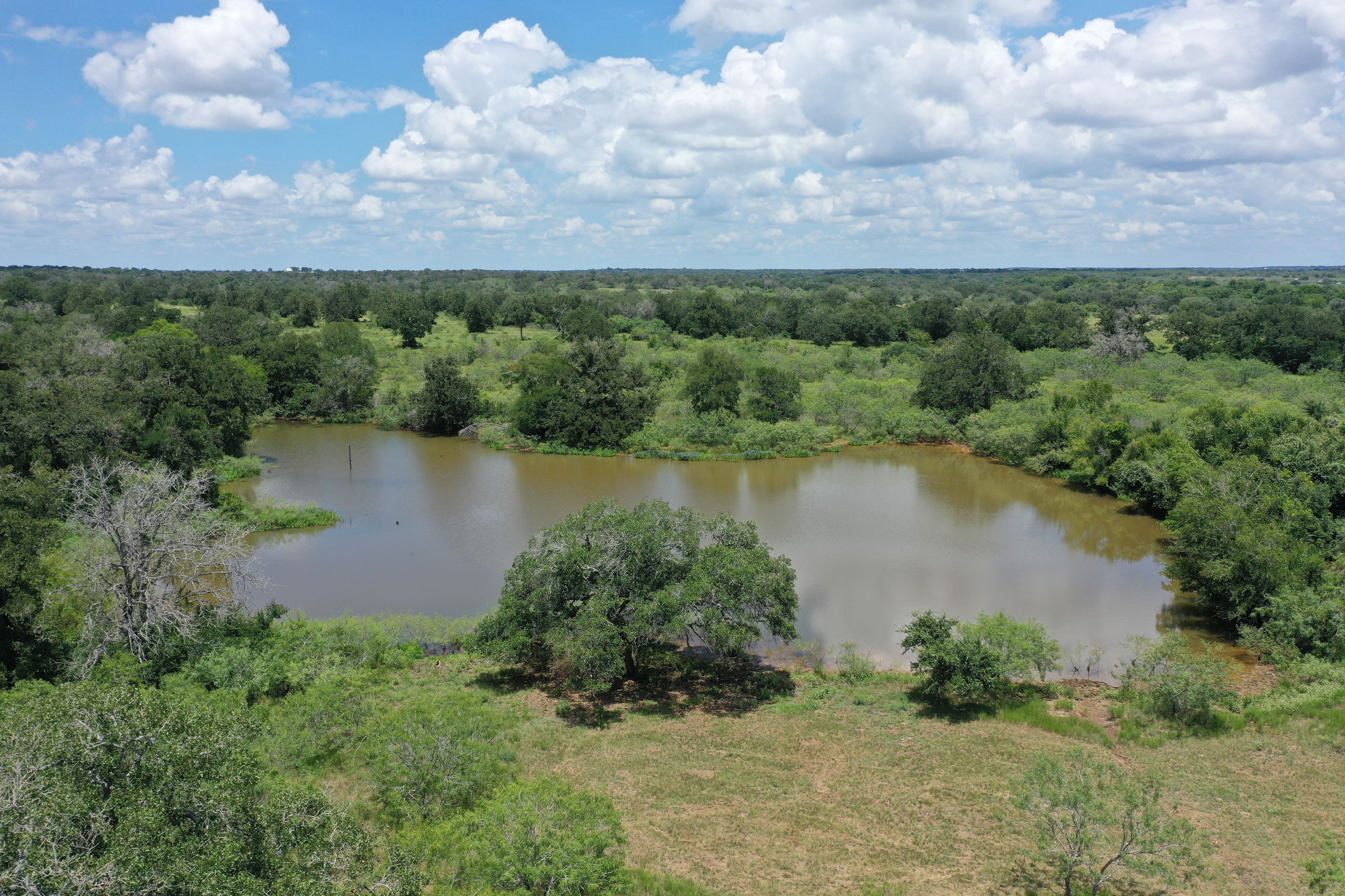 Buck Branch Ranch - 物件實景