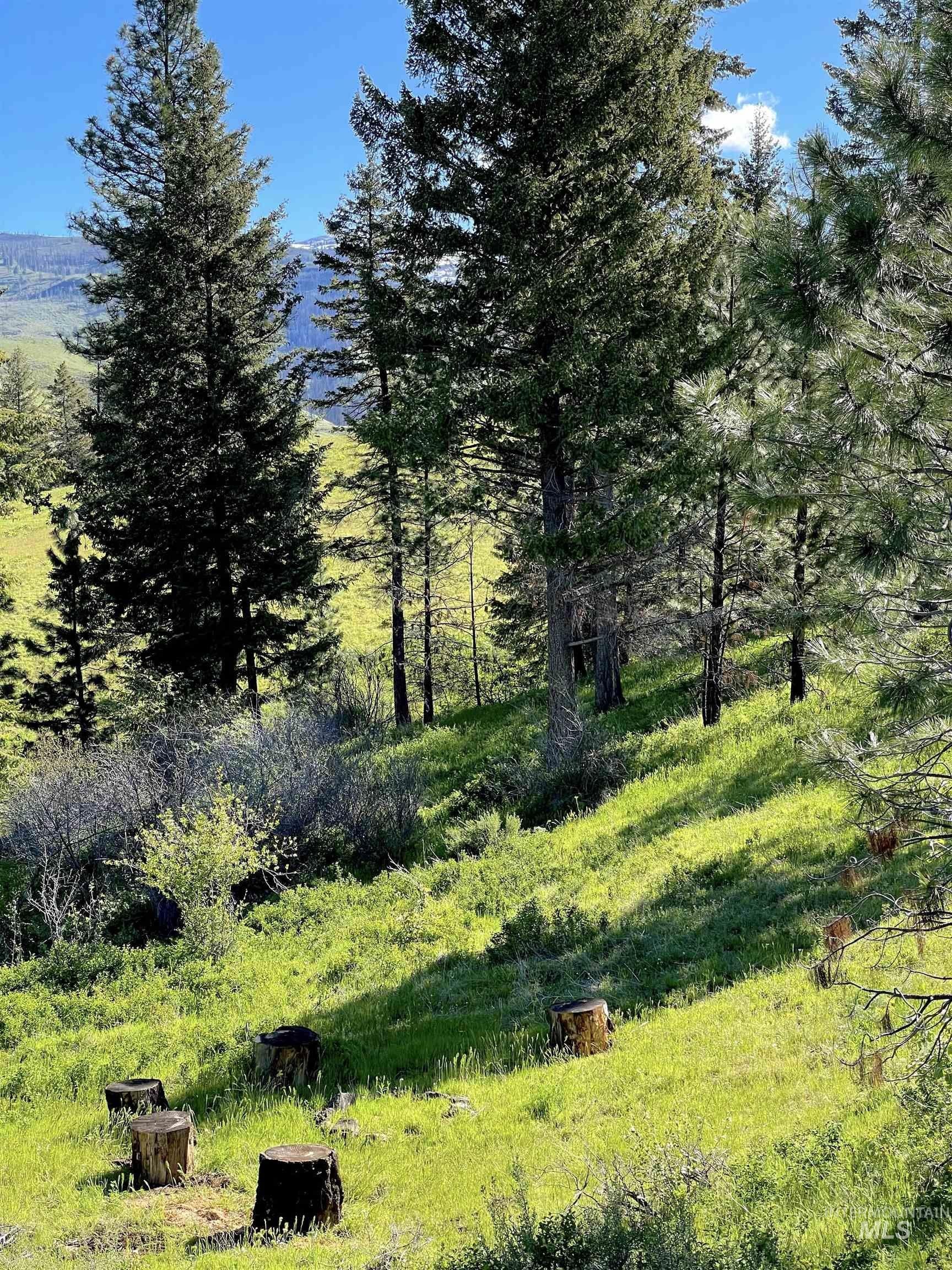 Council, Idaho, 83612, United States, ,Residential,For Sale,1921921