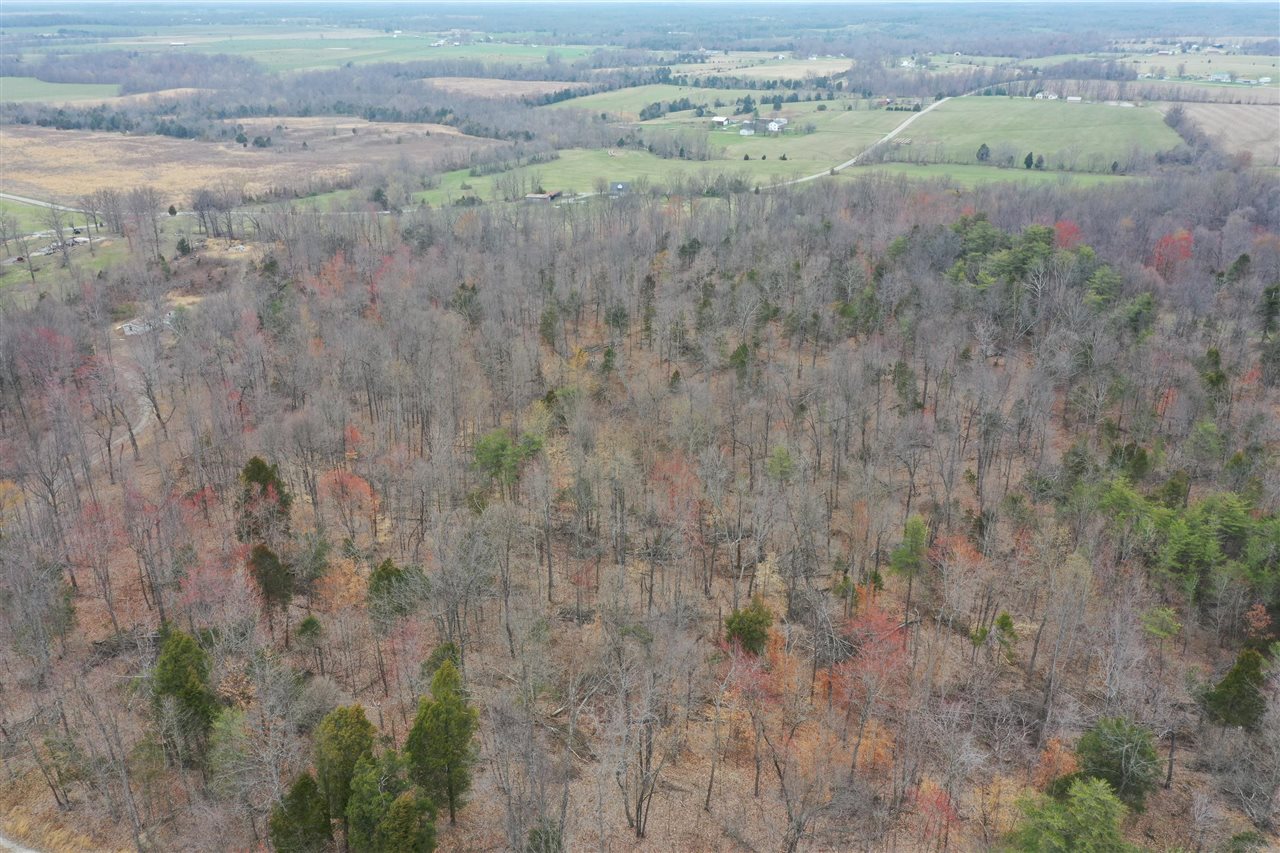 Clarkson, Kentucky, 42726, United States, ,Land,For Sale,1828562