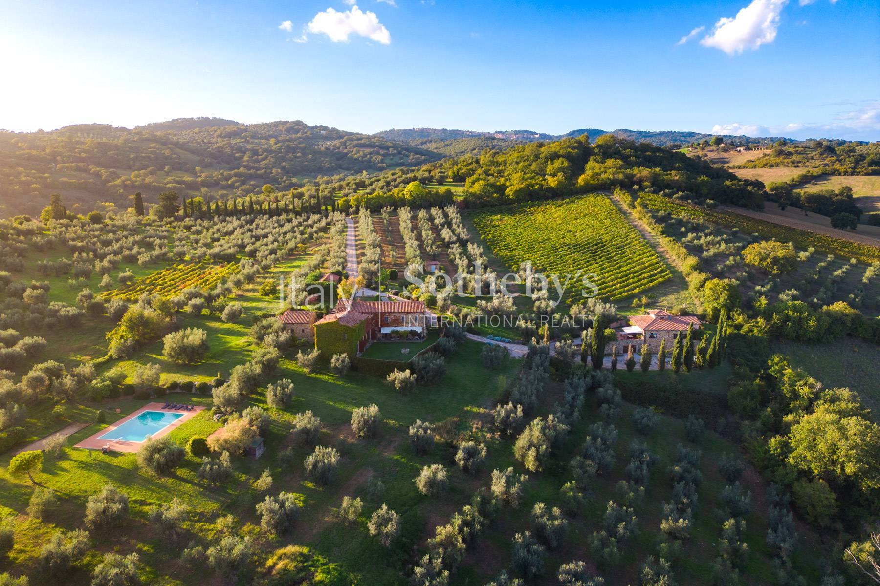  Historic farmhouse with olive grove and vineyard - 物件實景
