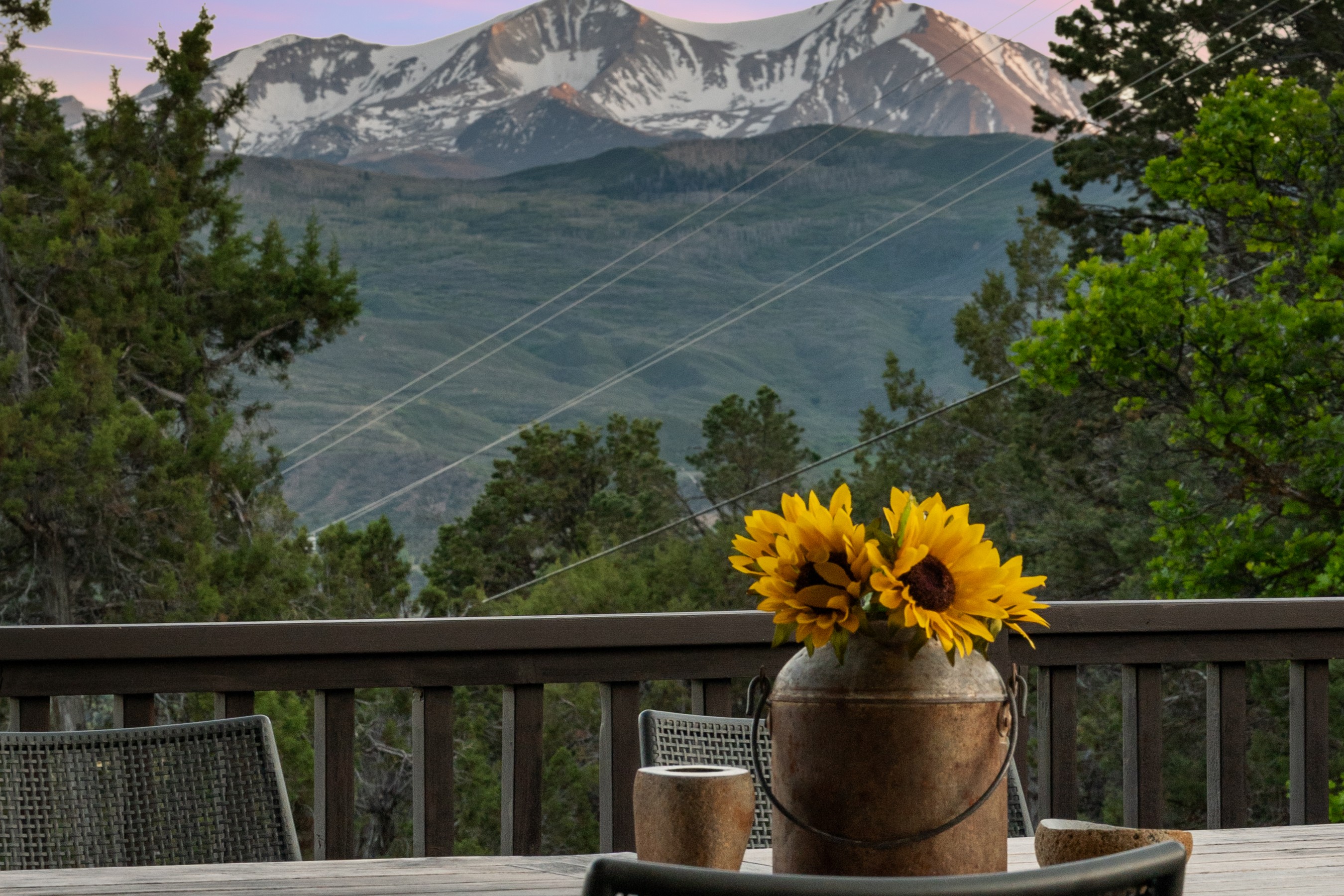  775 Vista Hi Drive, Carbondale, CO 81623 - 物件實景