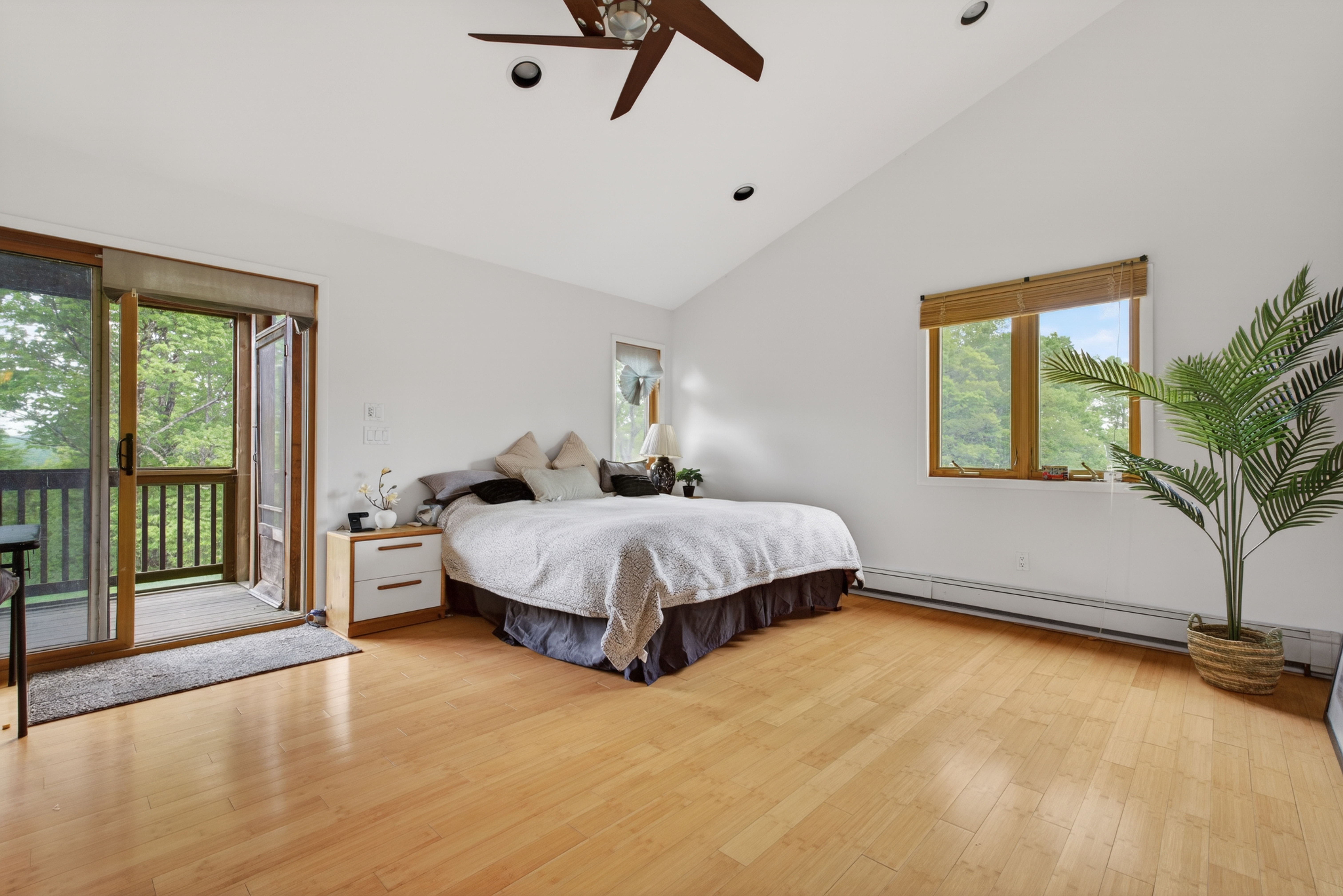  81 N Pond Drive, Livingston Manor, NY, 12758 - 物件實景