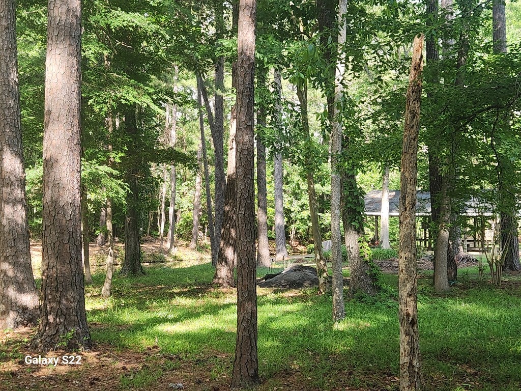 Cordele, Georgia, 31015, United States, 3 Bedrooms Bedrooms, ,3 BathroomsBathrooms,Residential,For Sale,1931643