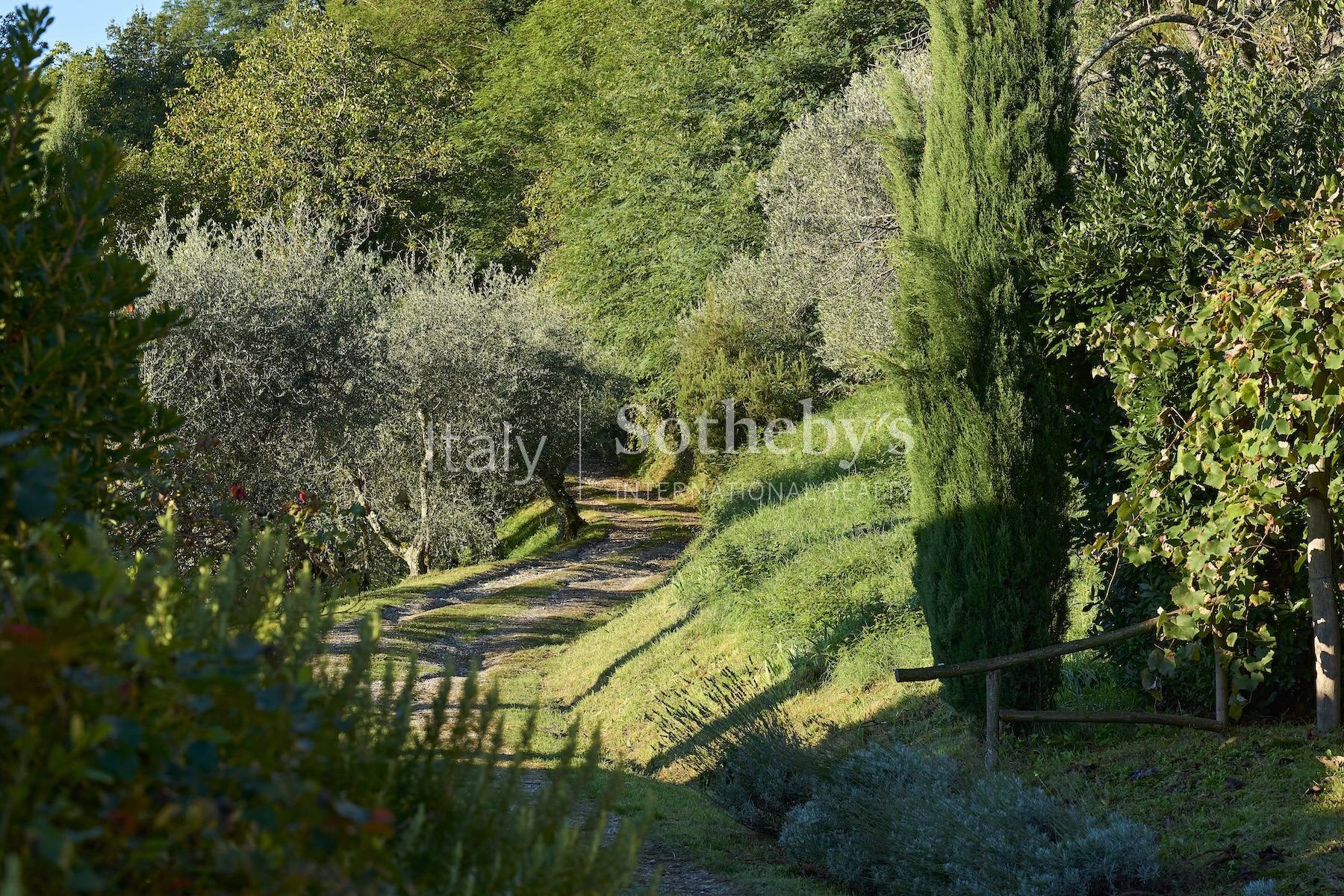  Authentic estate in the tuscan countryside - 物件實景