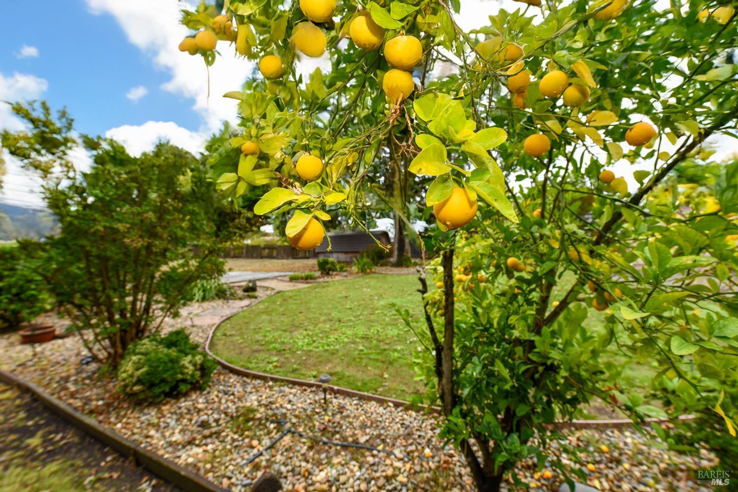 Napa, California, 94558, United States, 3 Bedrooms Bedrooms, ,1 BathroomBathrooms,Residential,For Sale,1988098