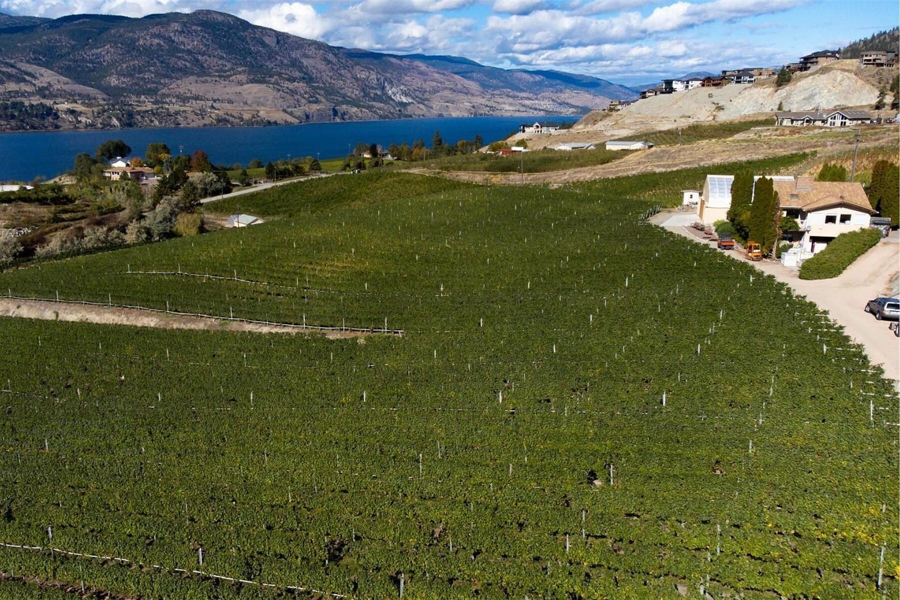  Boutique Okanagan Winery - 物件實景