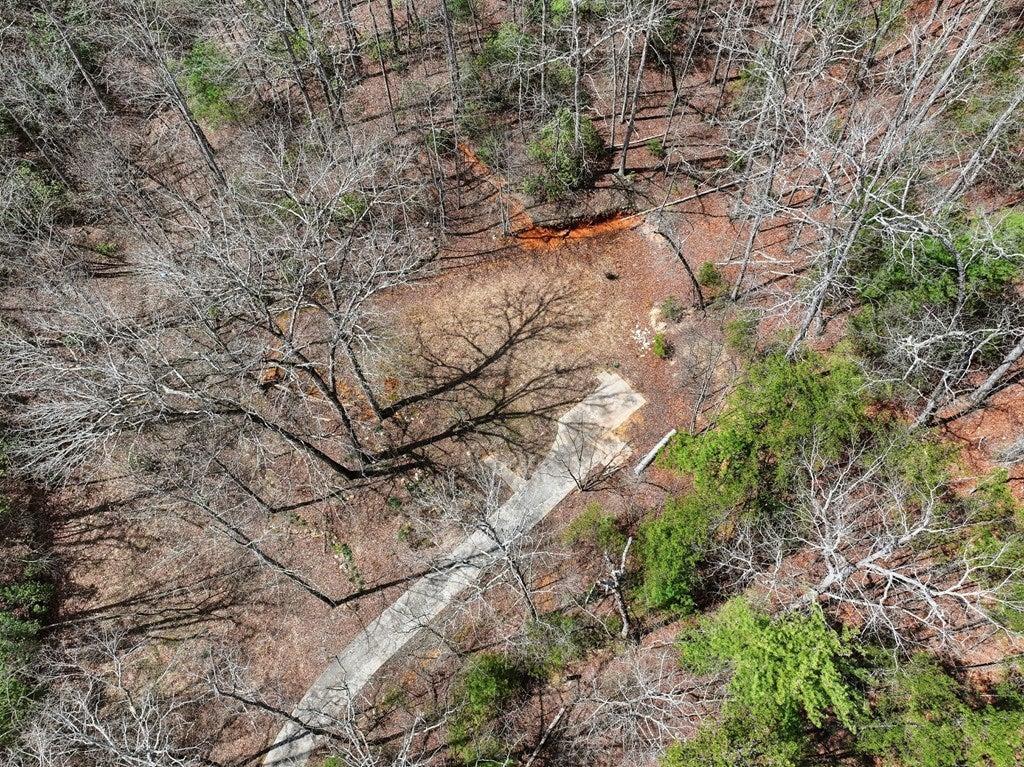 Ellijay, Georgia, 30536, United States, 2 Bedrooms Bedrooms, ,3 BathroomsBathrooms,Residential,For Sale,2034999