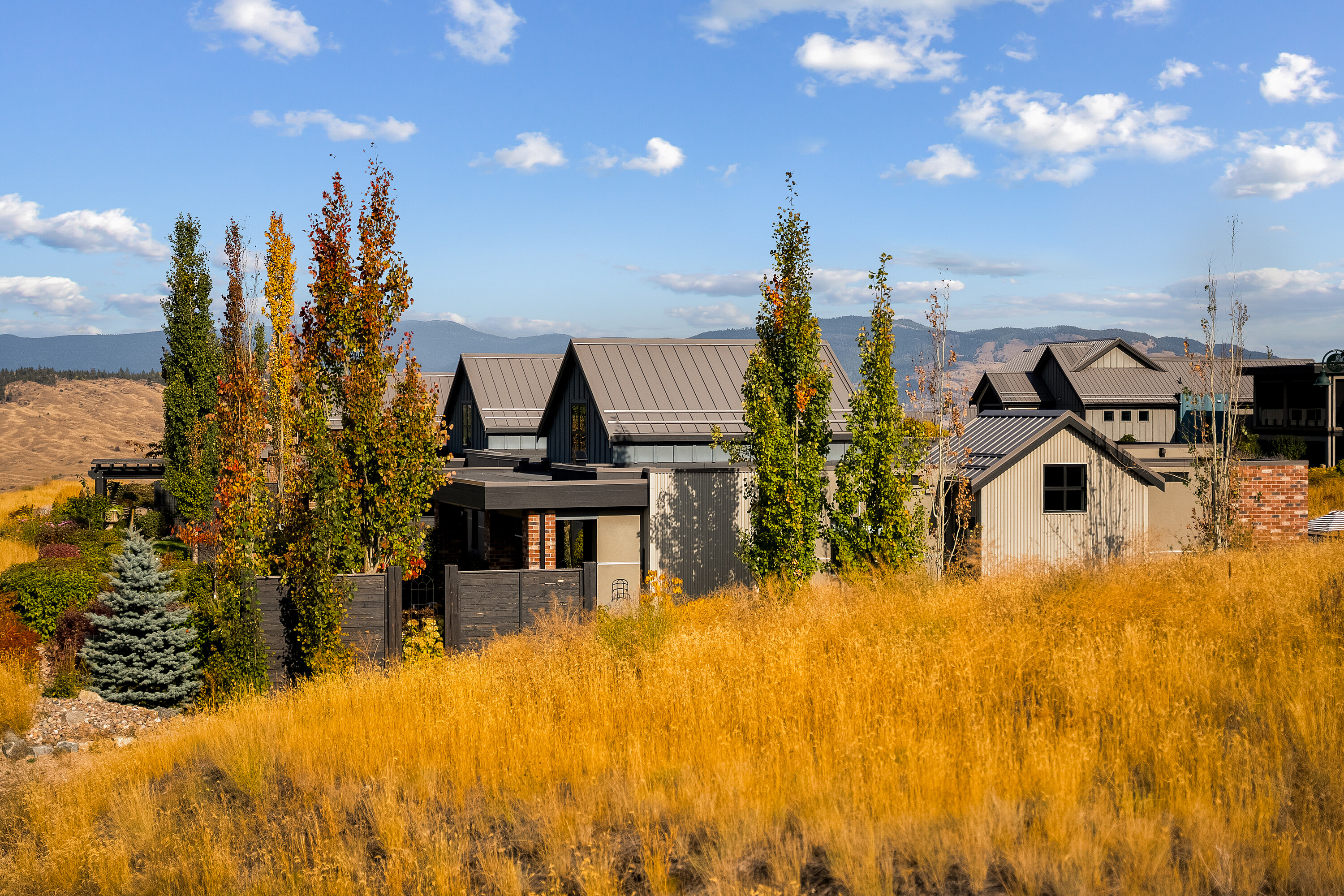  Modern Ranch in Predator Ridge - 物件實景