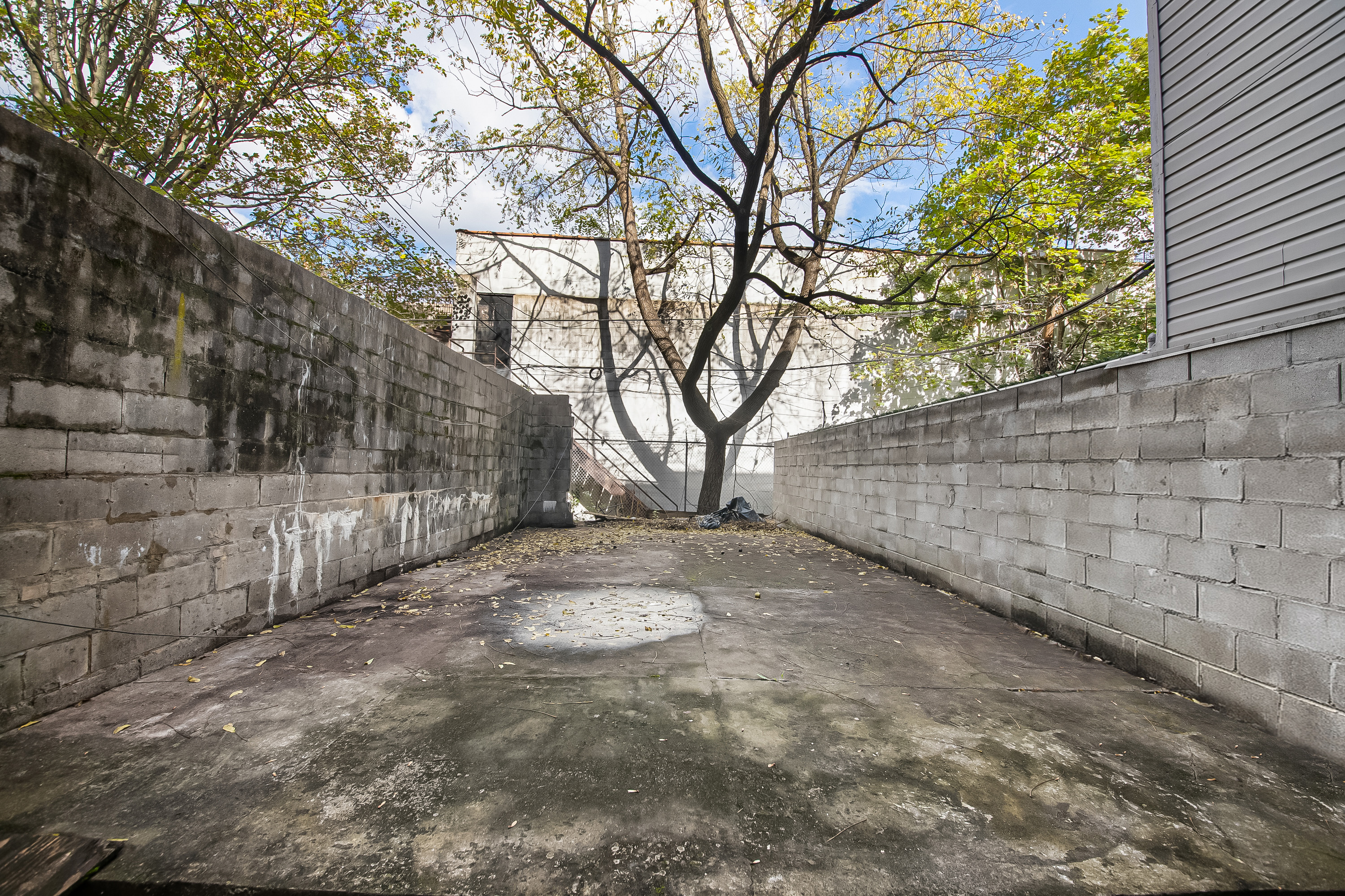 Brooklyn, New York, 11216, United States, 3 Bedrooms Bedrooms, ,6 BathroomsBathrooms,Residential,For Sale,1684366