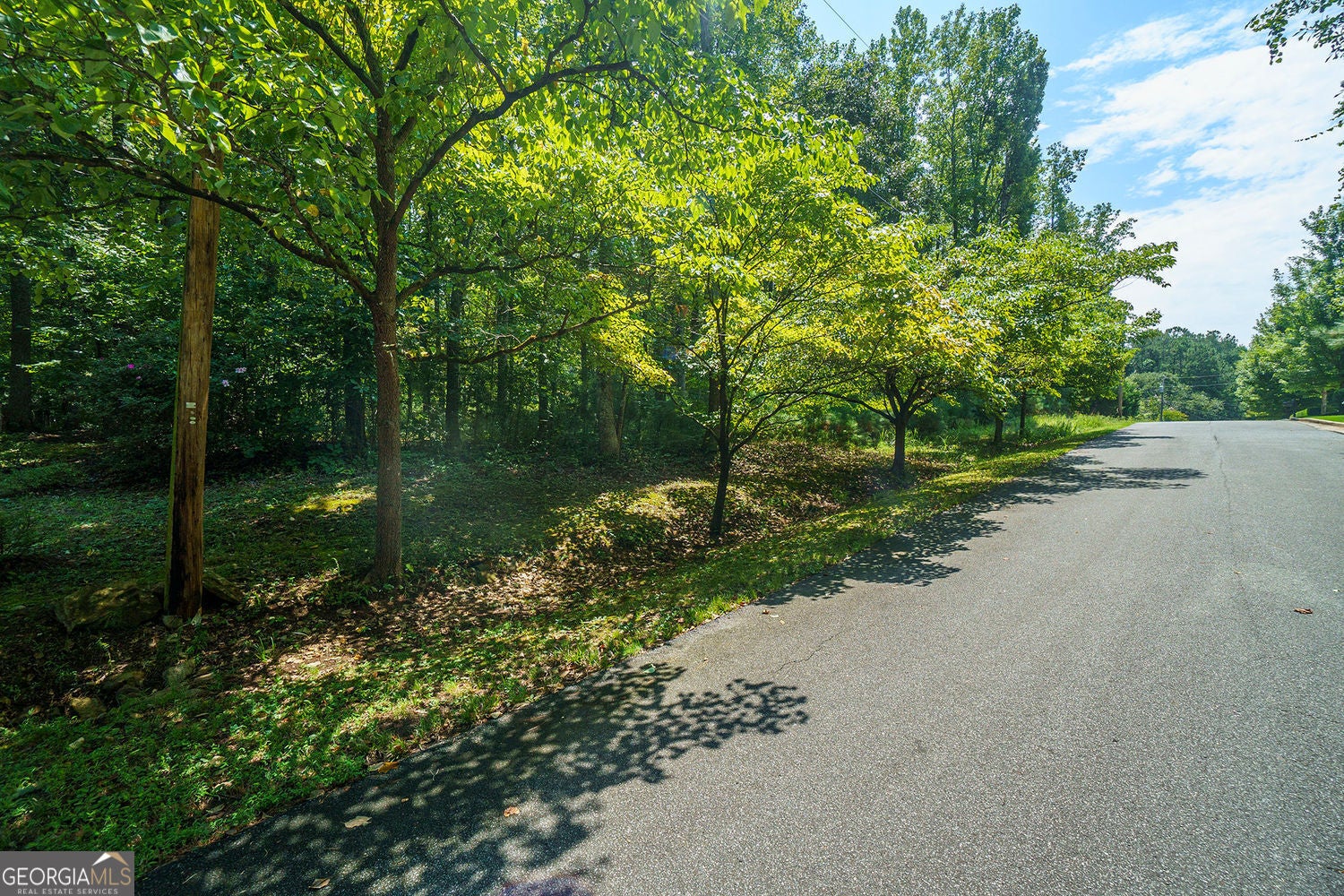 Marietta, Georgia, 30066, United States, ,Land,For Sale,1922555