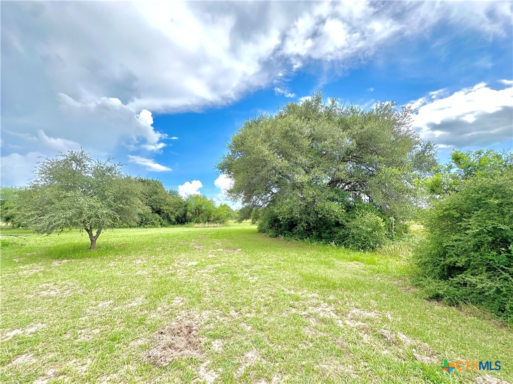 Nursery, Texas, 77976, United States, ,Land,For Sale,1988959