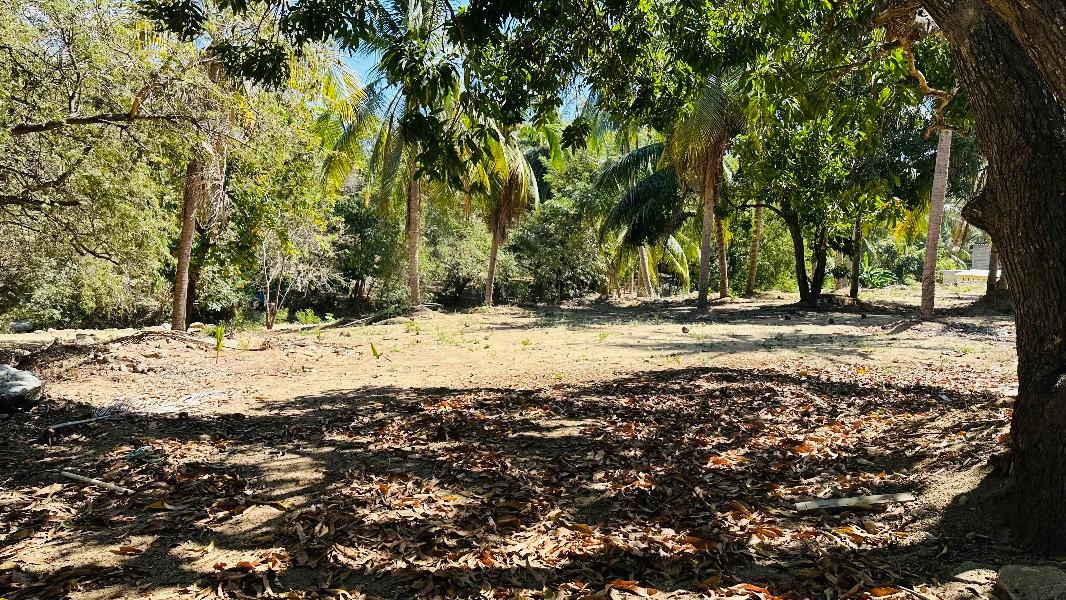 C PORFIRIO DIAZ, San Pedro Mixtepec -Dto. 22 -, Oaxaca, 71984, Mexico, 1 Bedroom Bedrooms, ,Residential,For Sale,C PORFIRIO DIAZ,1609826