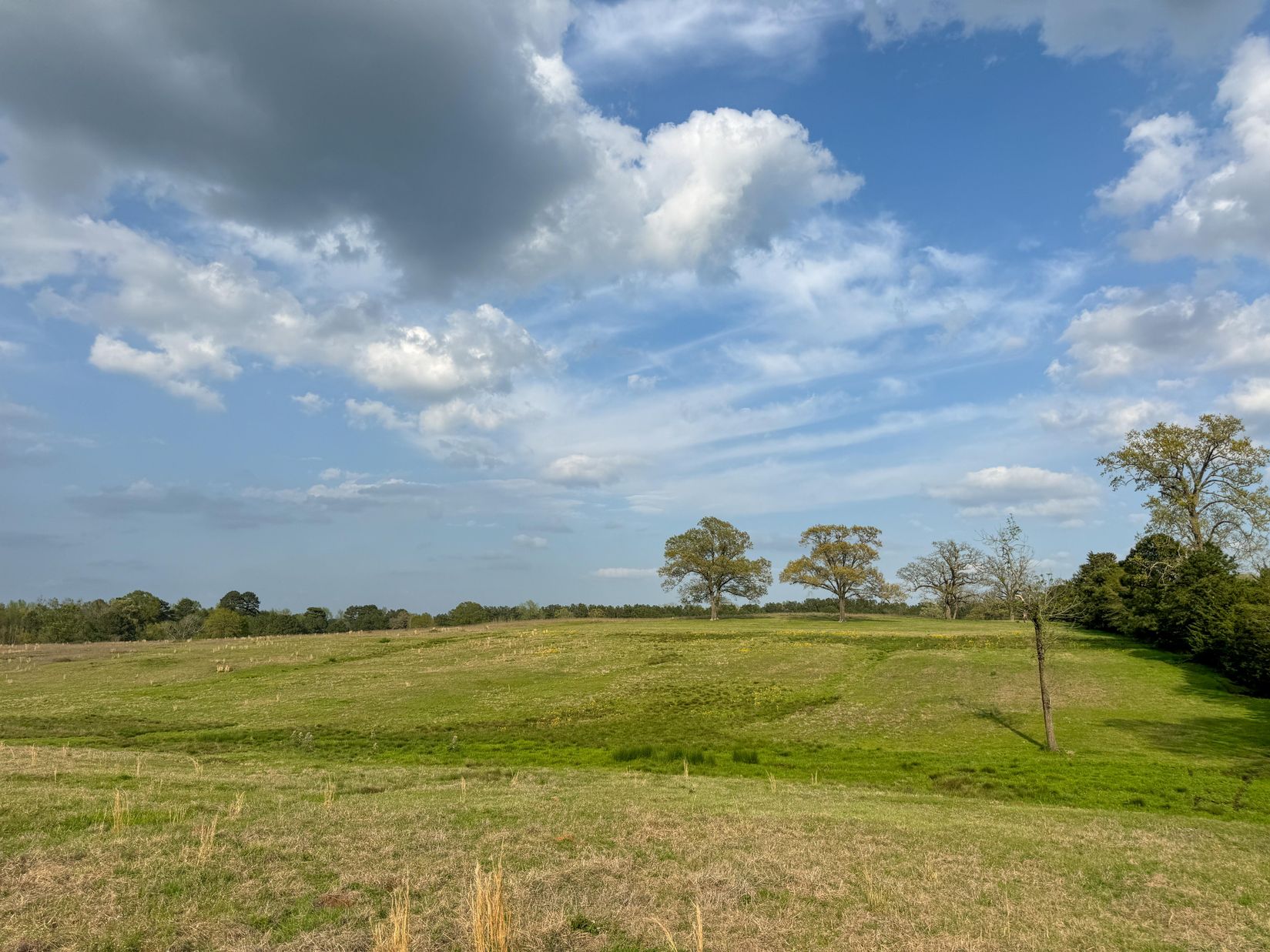 Bivins, Texas, 75555, United States, ,Residential,For Sale,1755933