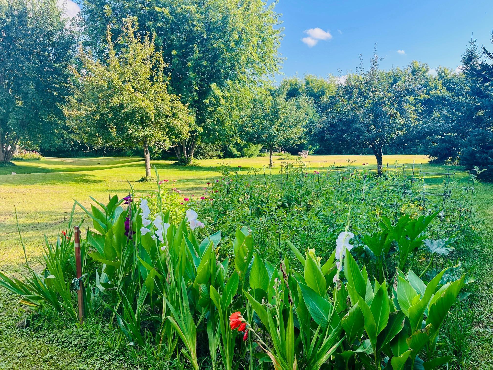 Osceola, Wisconsin, 54009, United States, 3 Bedrooms Bedrooms, ,Residential,For Sale,1979617