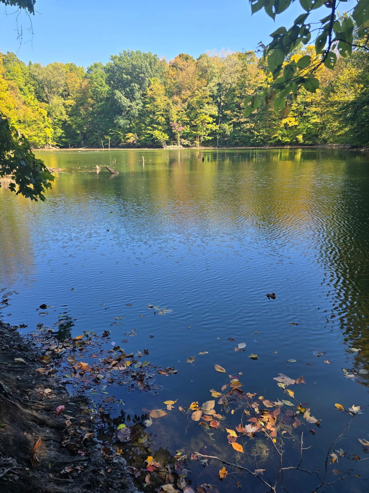 Cardington, Ohio, 43315, United States, 3 Bedrooms Bedrooms, ,2 BathroomsBathrooms,Residential,For Sale,1983191