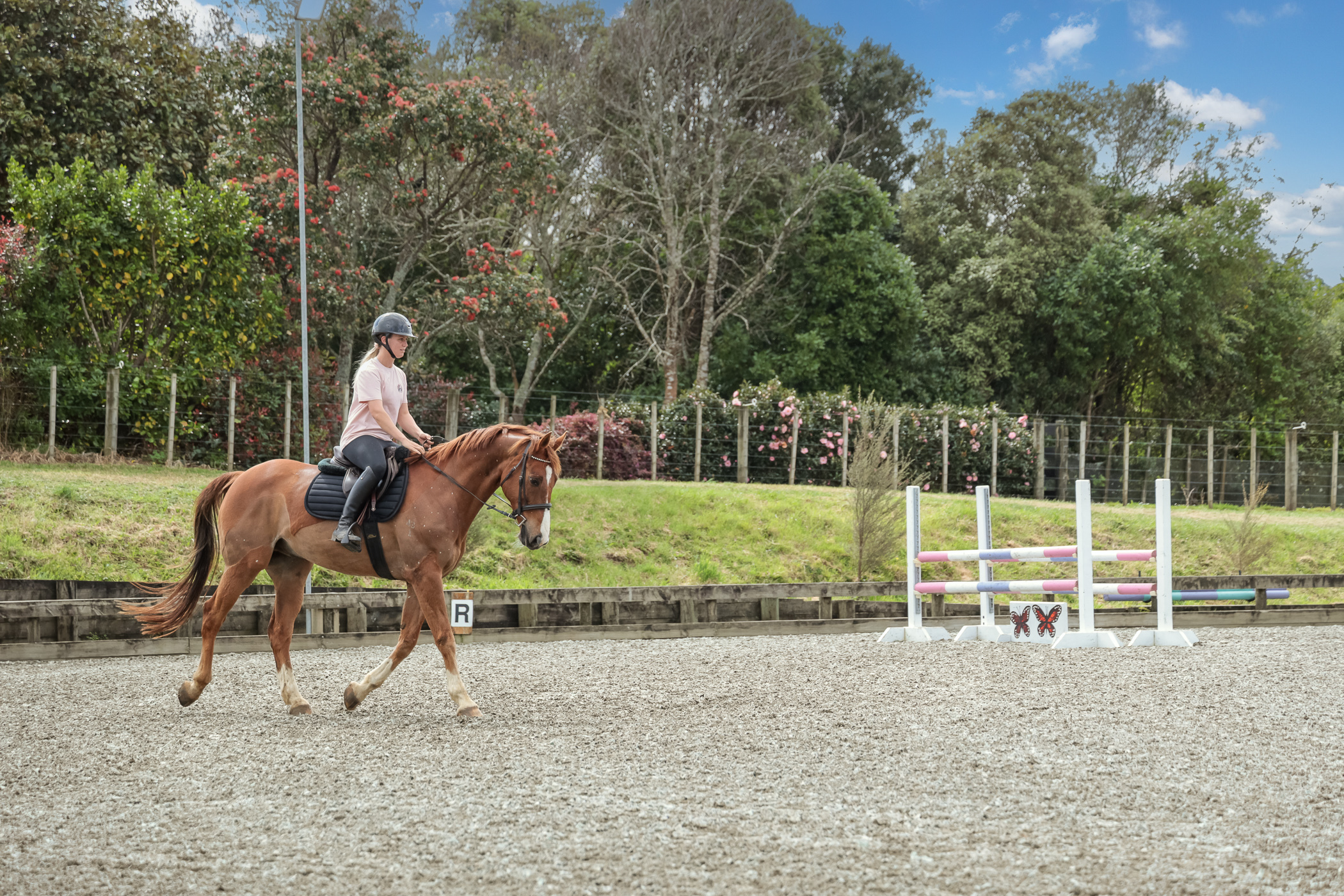  Equestrian Facility - Land Bank with Income - 物件實景
