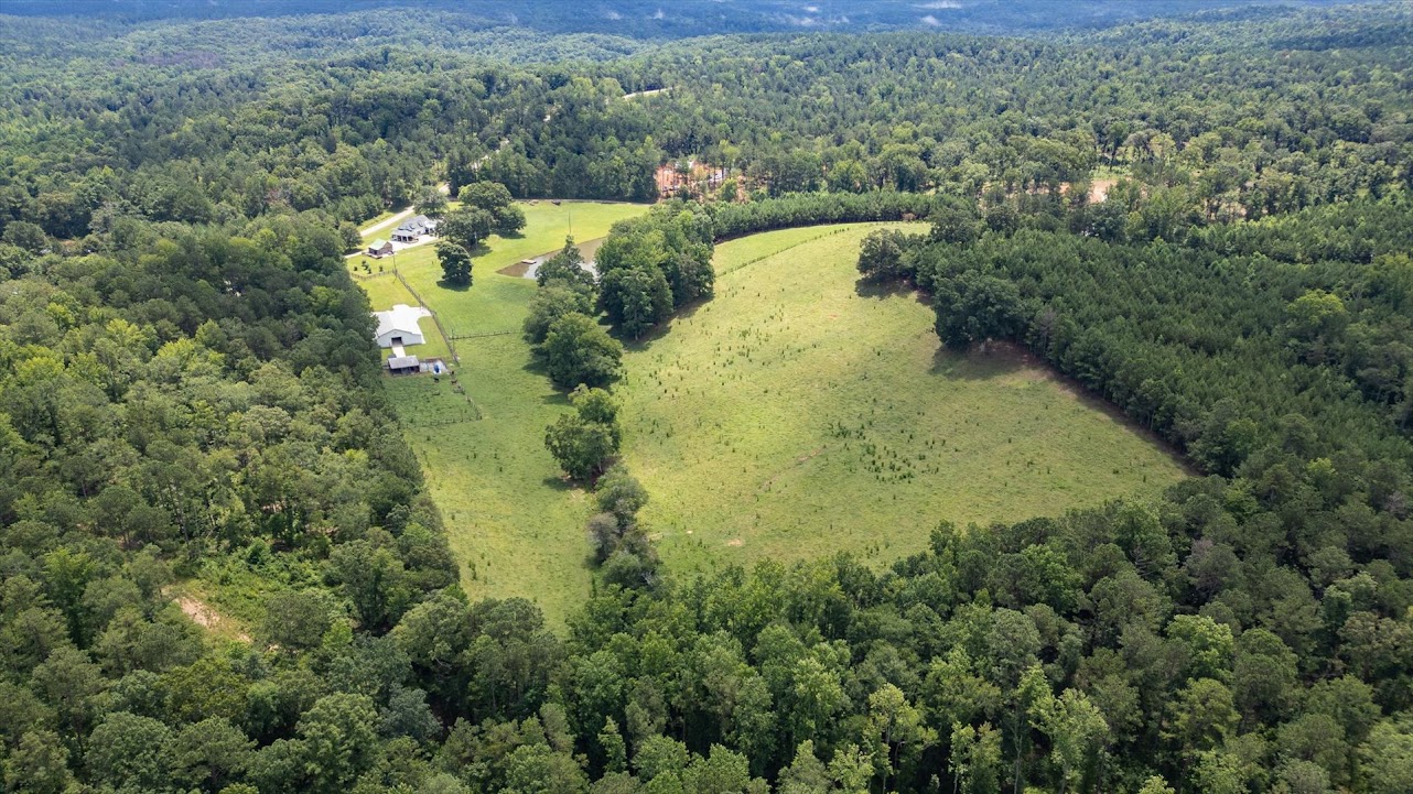 Heflin, Alabama, 36264, United States, ,Land,For Sale,1981342