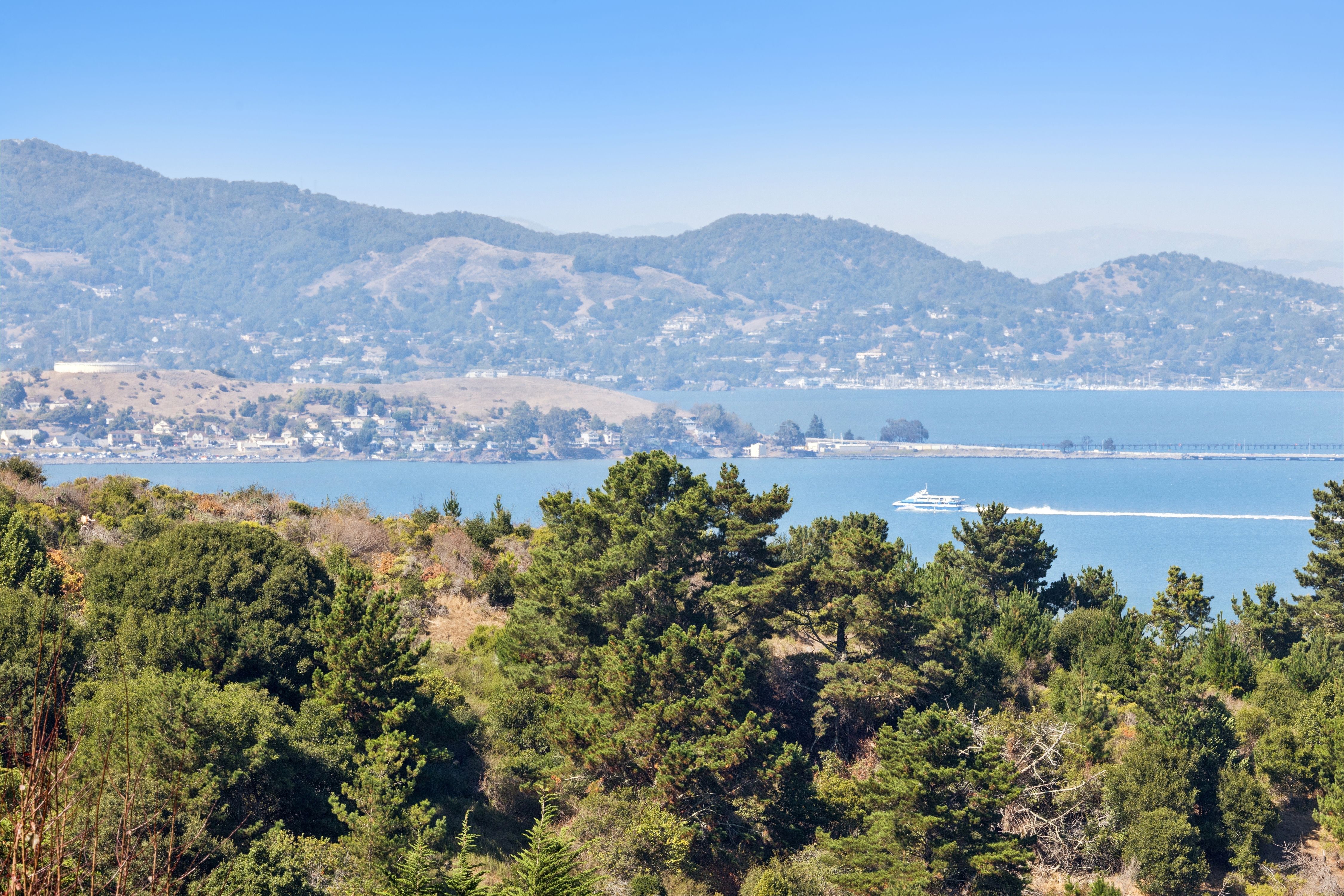  Bridge-to-Bridge View Estate - 物件實景