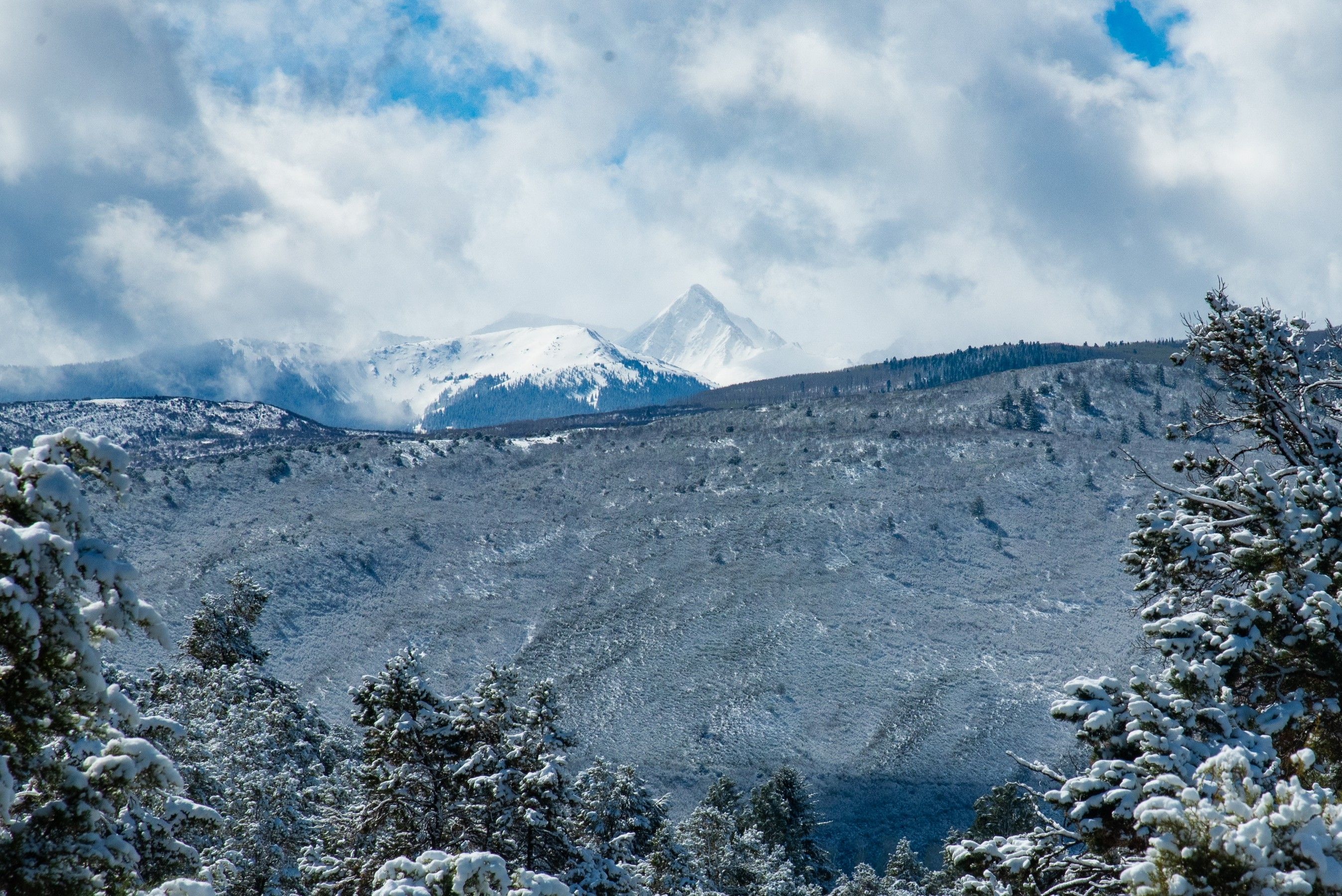  255 Little Pinion, Basalt, CO 81621 - 物件實景