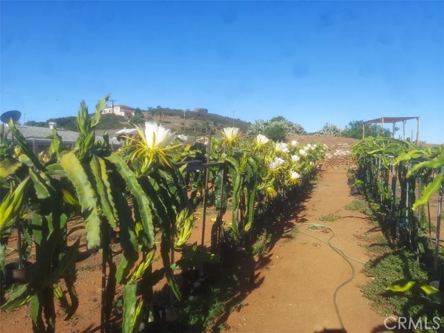 Fallbrook, California, 92028, United States, 2 Bedrooms Bedrooms, ,3 BathroomsBathrooms,Residential,For Sale,1979251