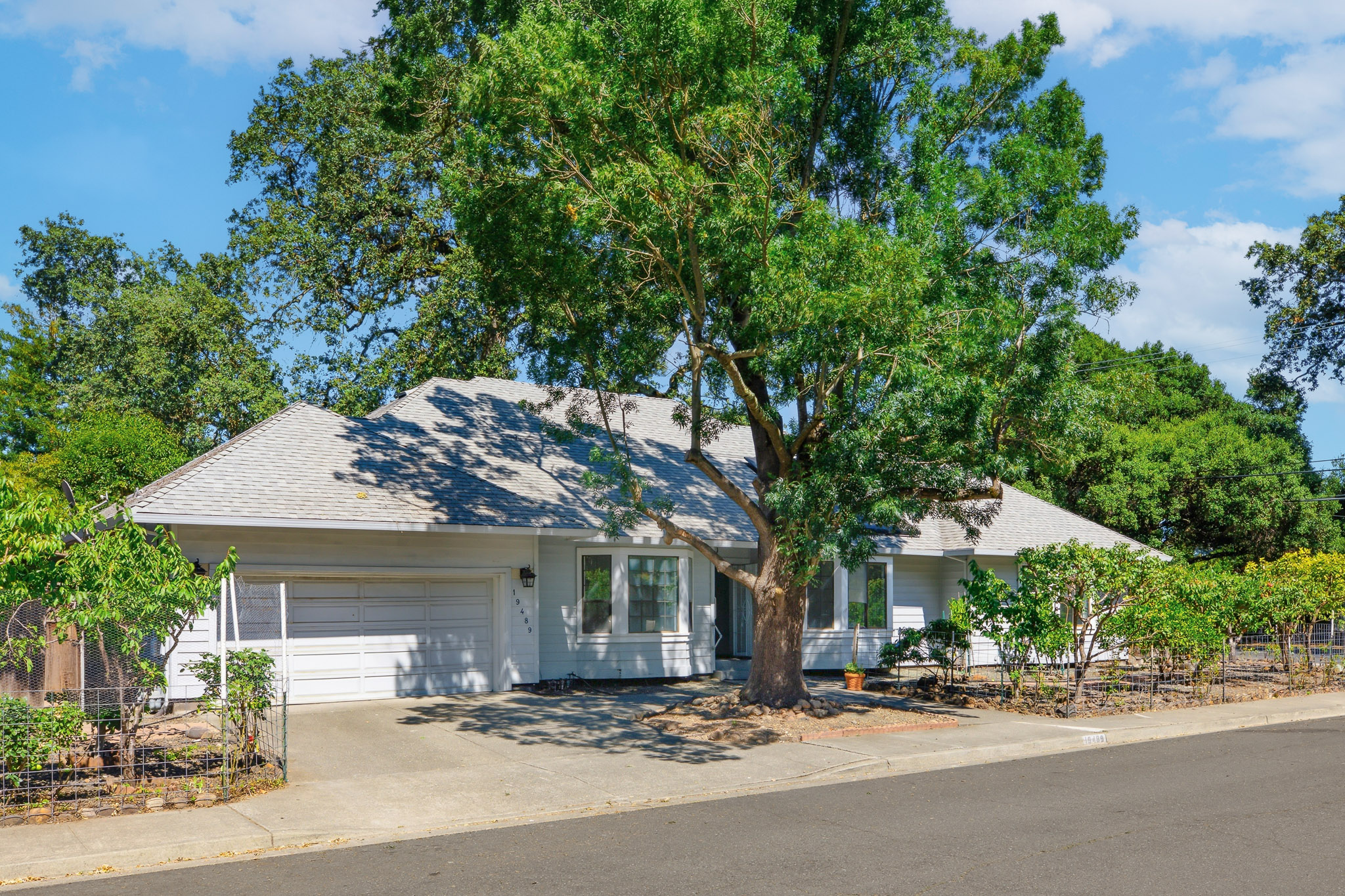  Opportunity Knocks in Prime Sonoma Location - 物件實景
