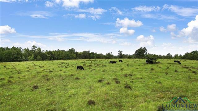 Henderson, Texas, 75654, United States, ,Land,For Sale,1885334