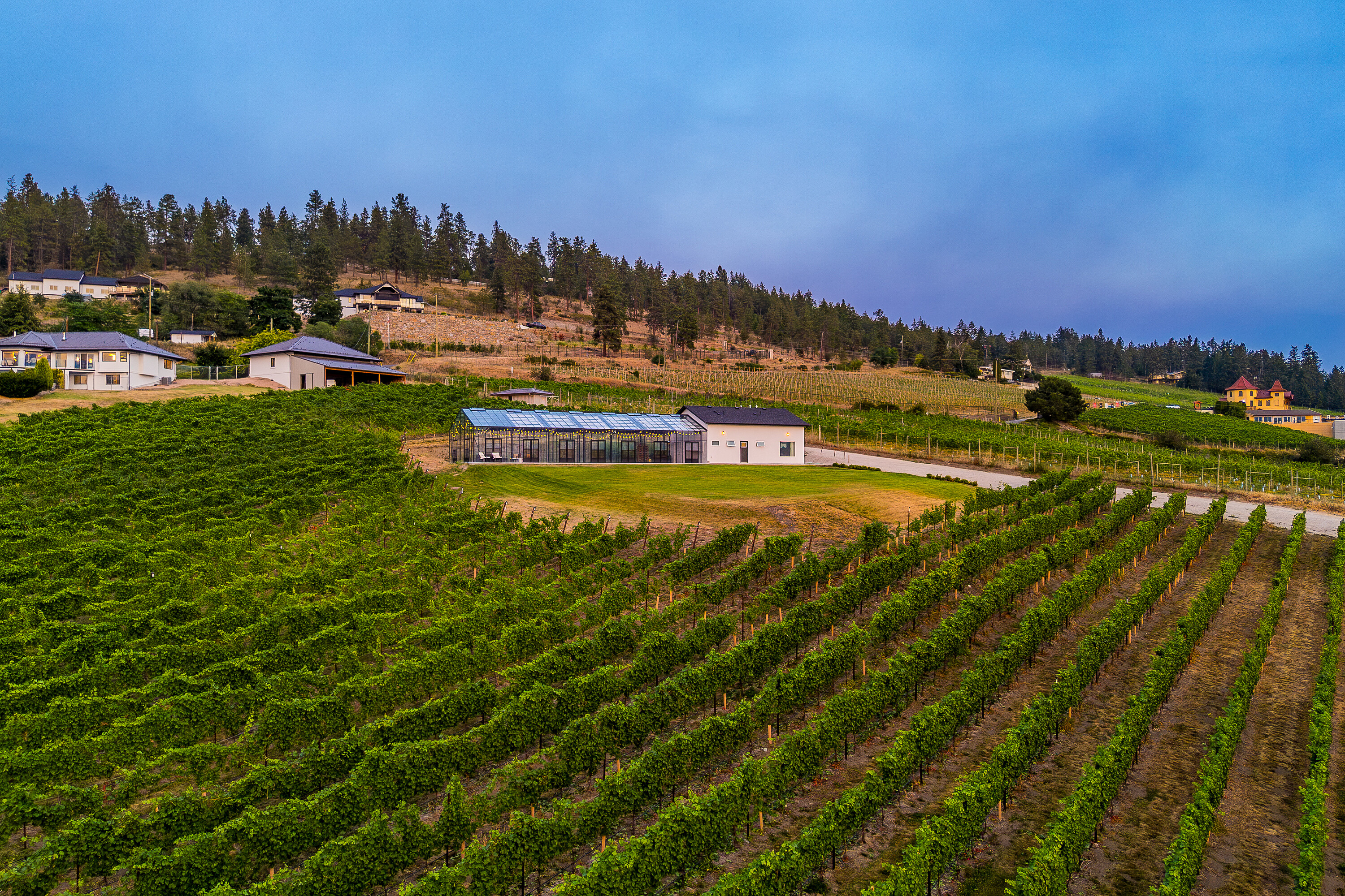  Scenic Vineyard Home - 物件實景