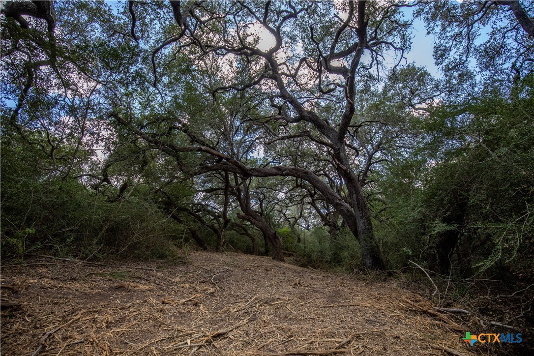 Cuero, Texas, 77954, United States, ,Residential,For Sale,1963995