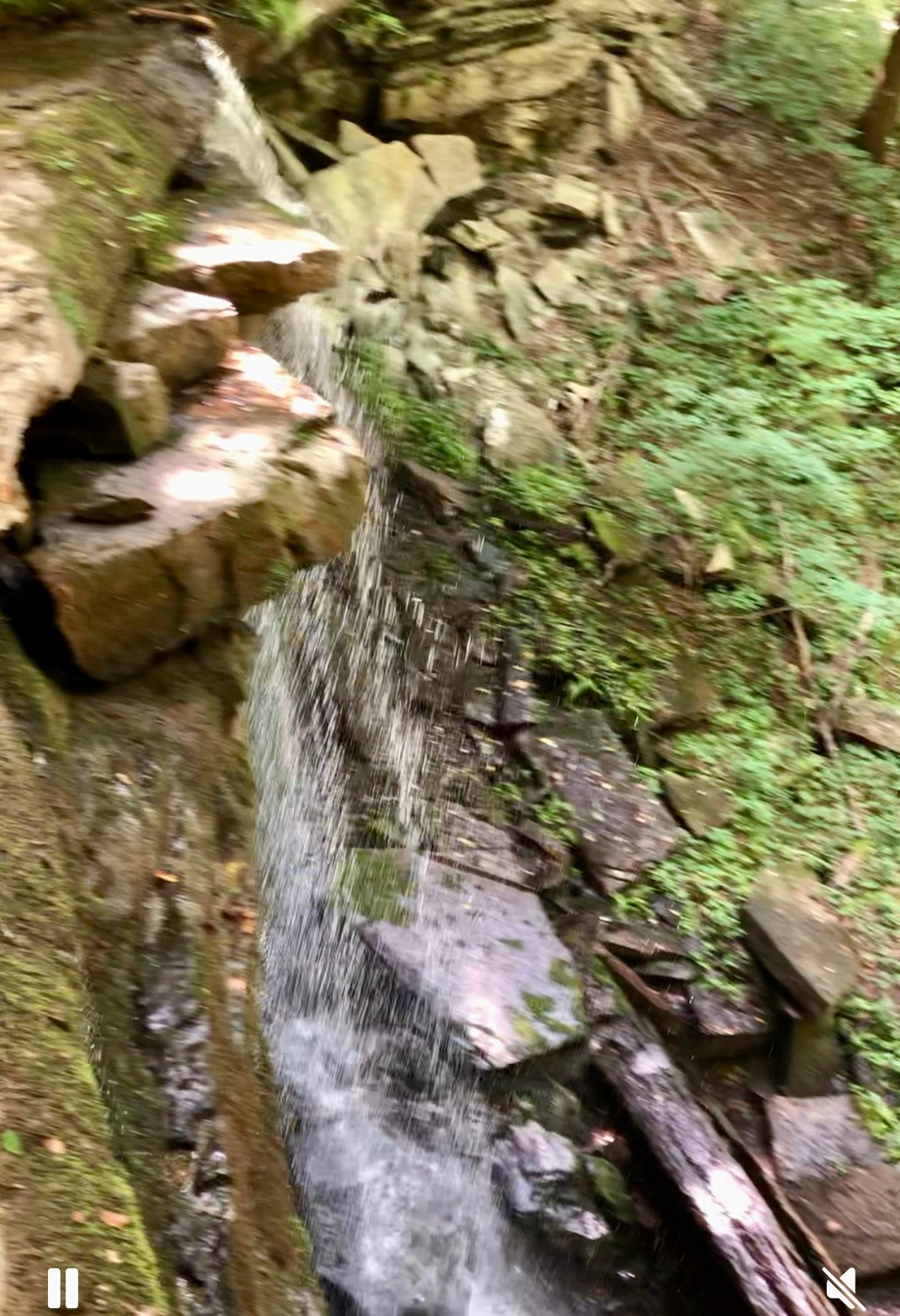 Sparta, Tennessee, 38583, United States, ,Land,For Sale,2006583