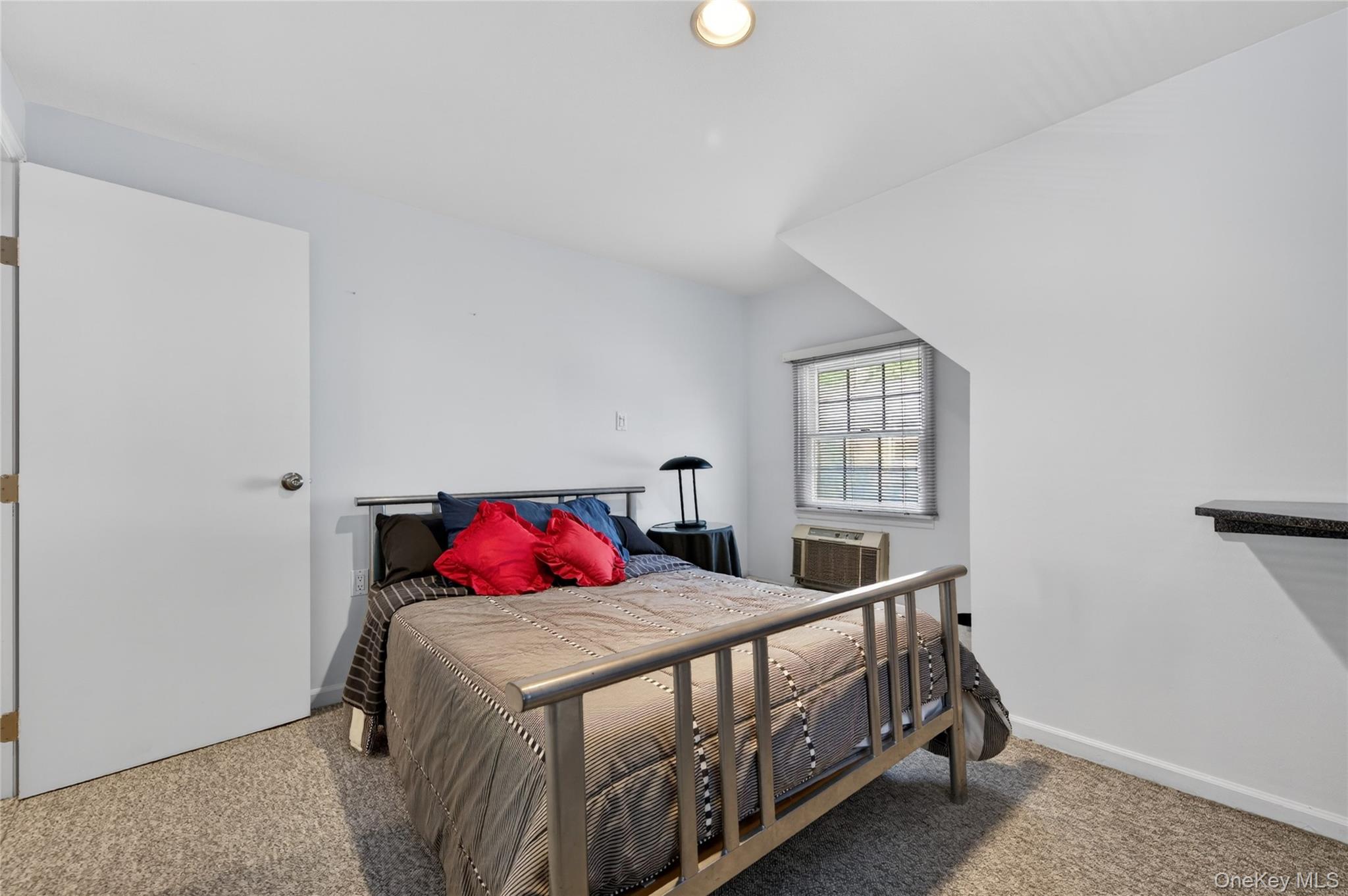  261 Wright Avenue, Carle Place, NY, 11514 - 物件實景