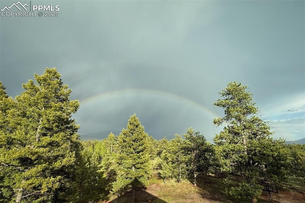 Florissant, Colorado, 80816, United States, 3 Bedrooms Bedrooms, ,2 BathroomsBathrooms,Residential,For Sale,1882650