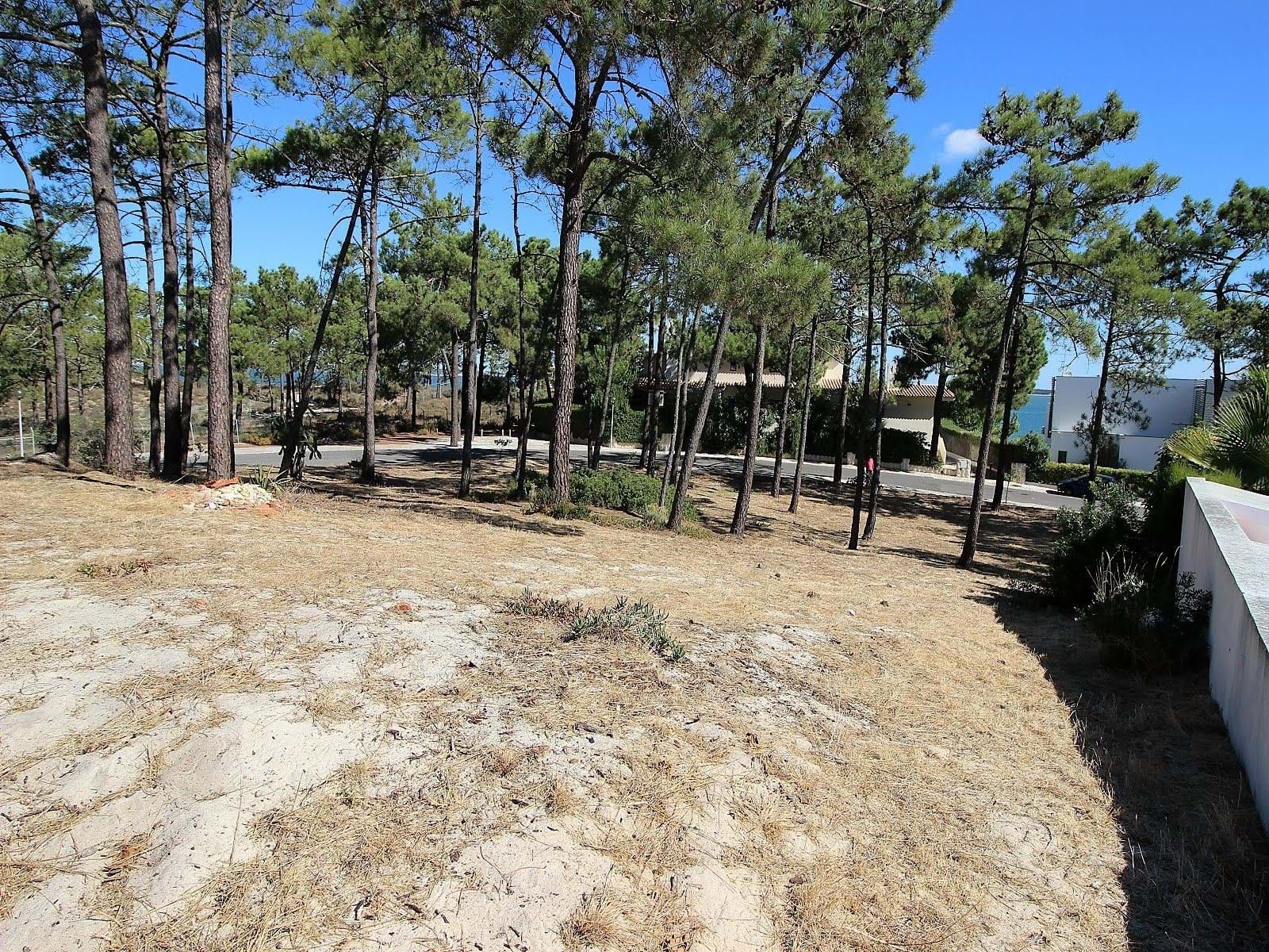 Grândola, Setúbal, 7570-779, PT, ,Land,For Sale,1699910
