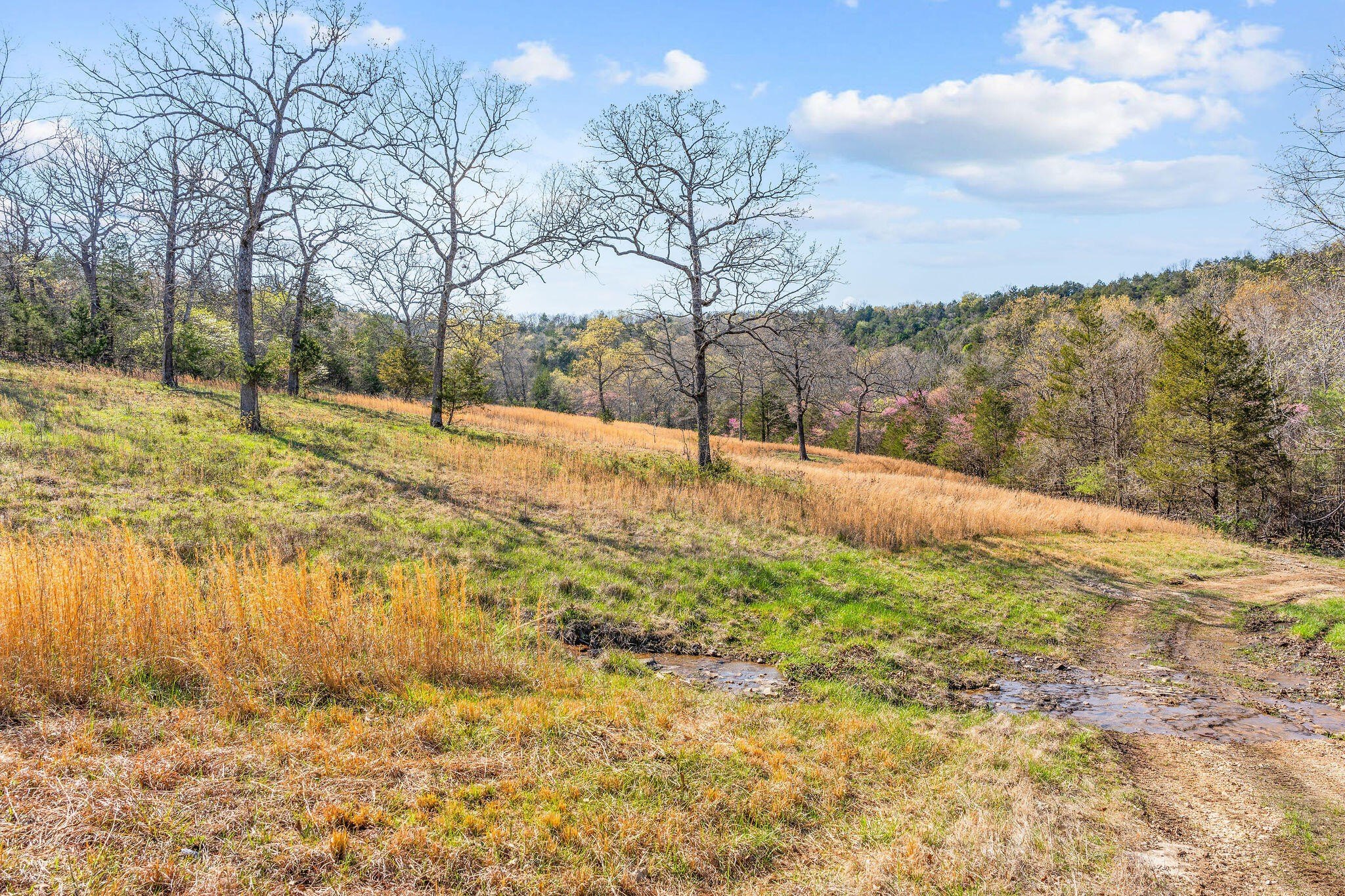 Kirbyville, Missouri, 65679, United States, ,Land,For Sale,1978892