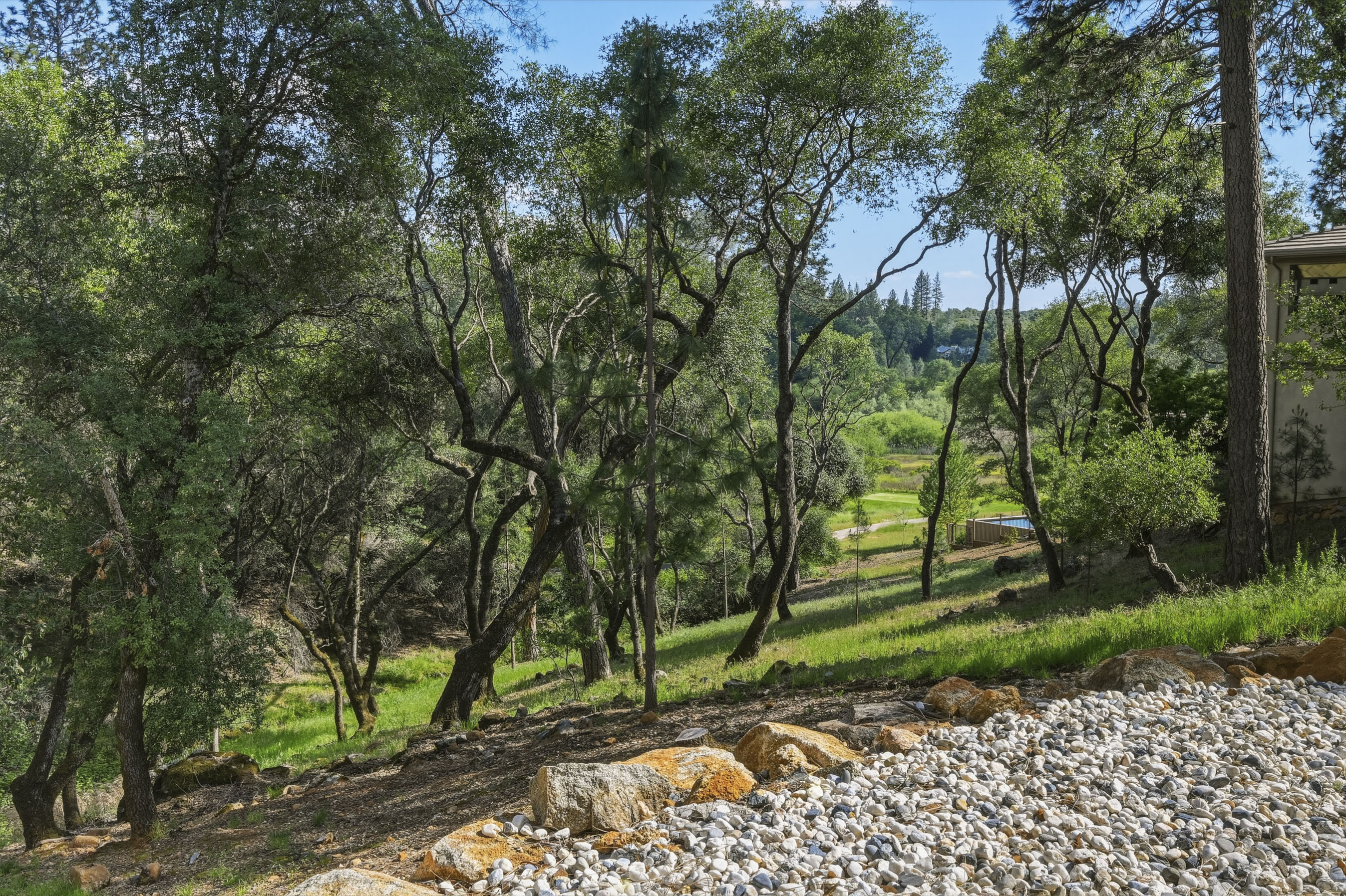  1455 Lodge View Drive, Meadow Vista, CA 95722 - 物件實景