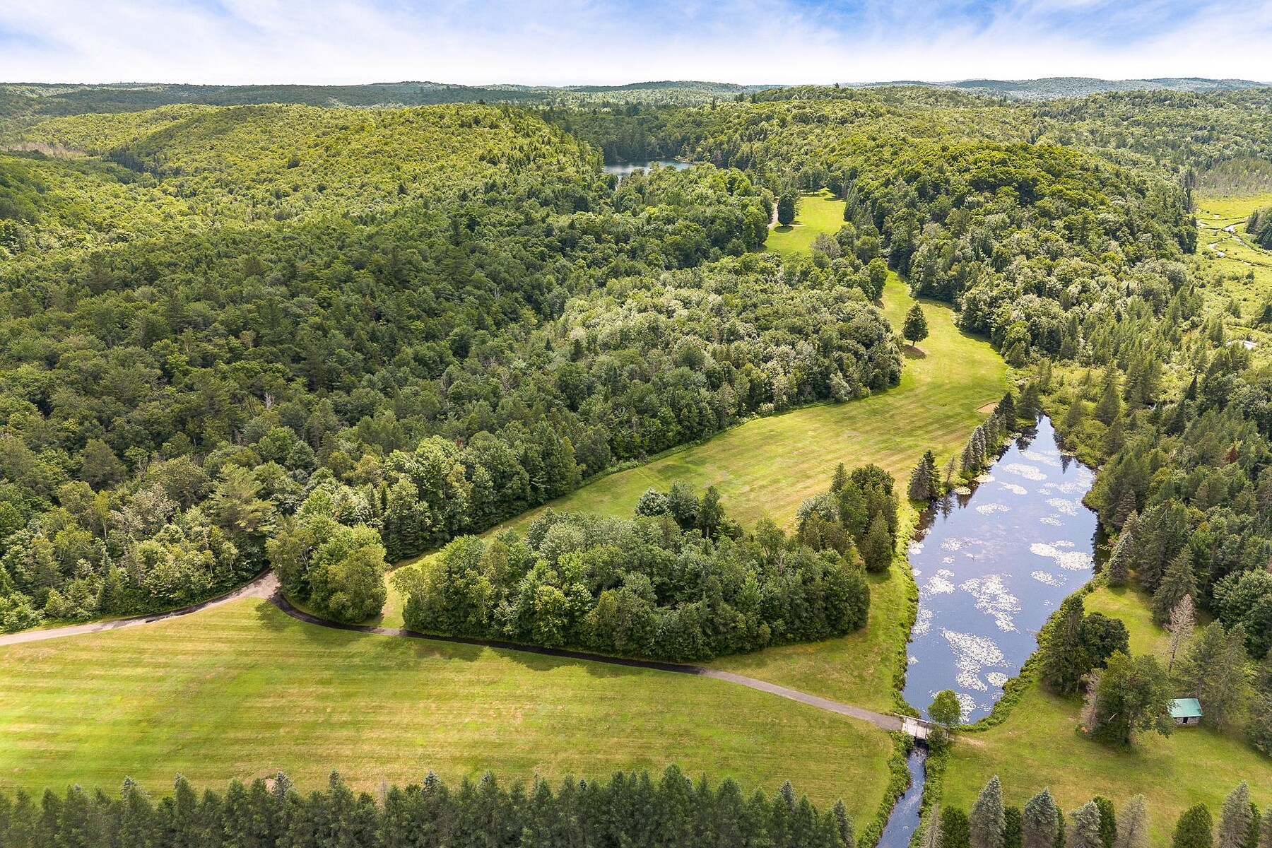  Pine Hill  Clear Water - 物件實景