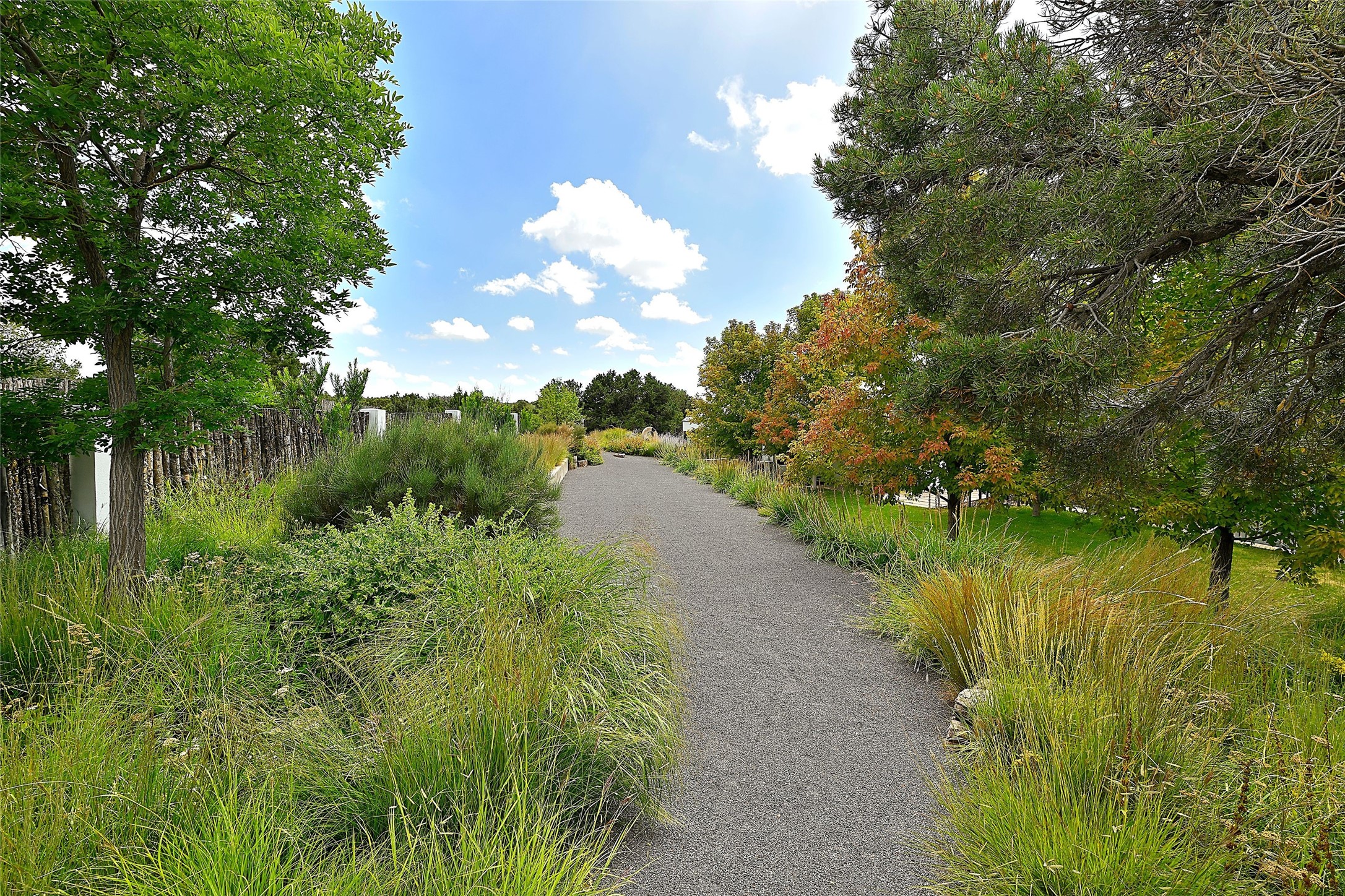  7 Camino Don Patron - 物件實景