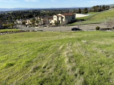 Fremont, California, 94539, United States, ,Land,For Sale,2009313