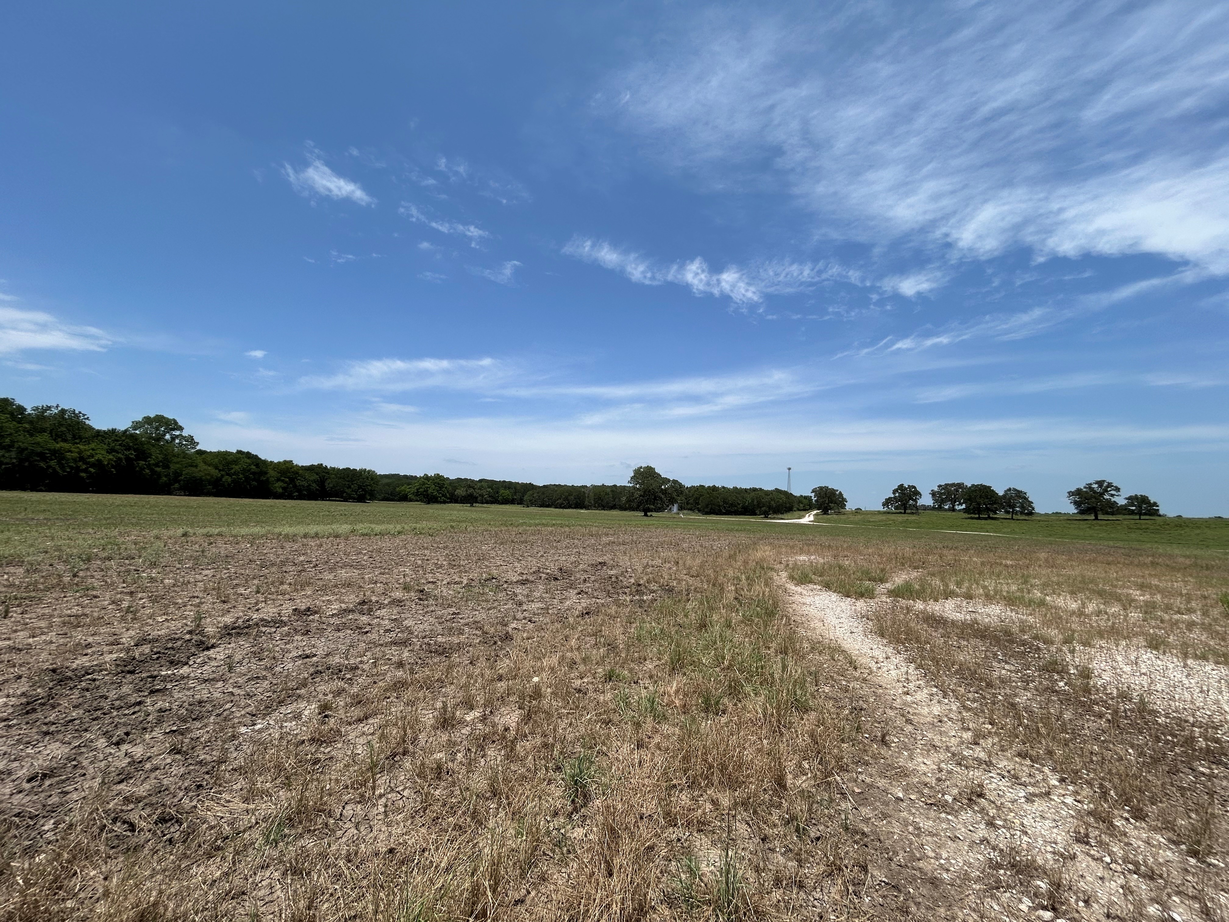 Bridgeport, Texas, 76426, United States, ,Residential,For Sale,1697871