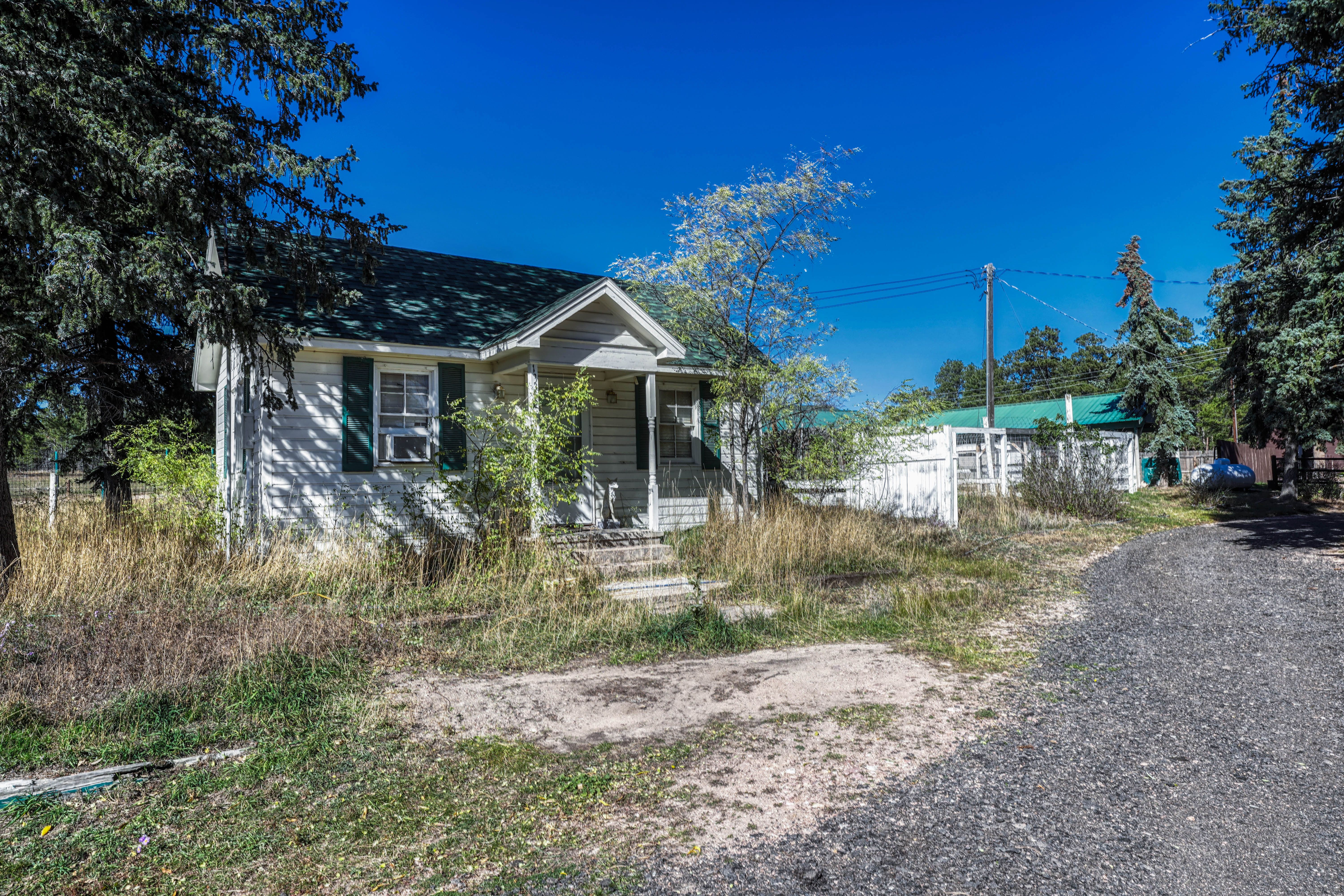  Historic Pine Run Ranch in Black Forest on rare 60 acres - 物件實景